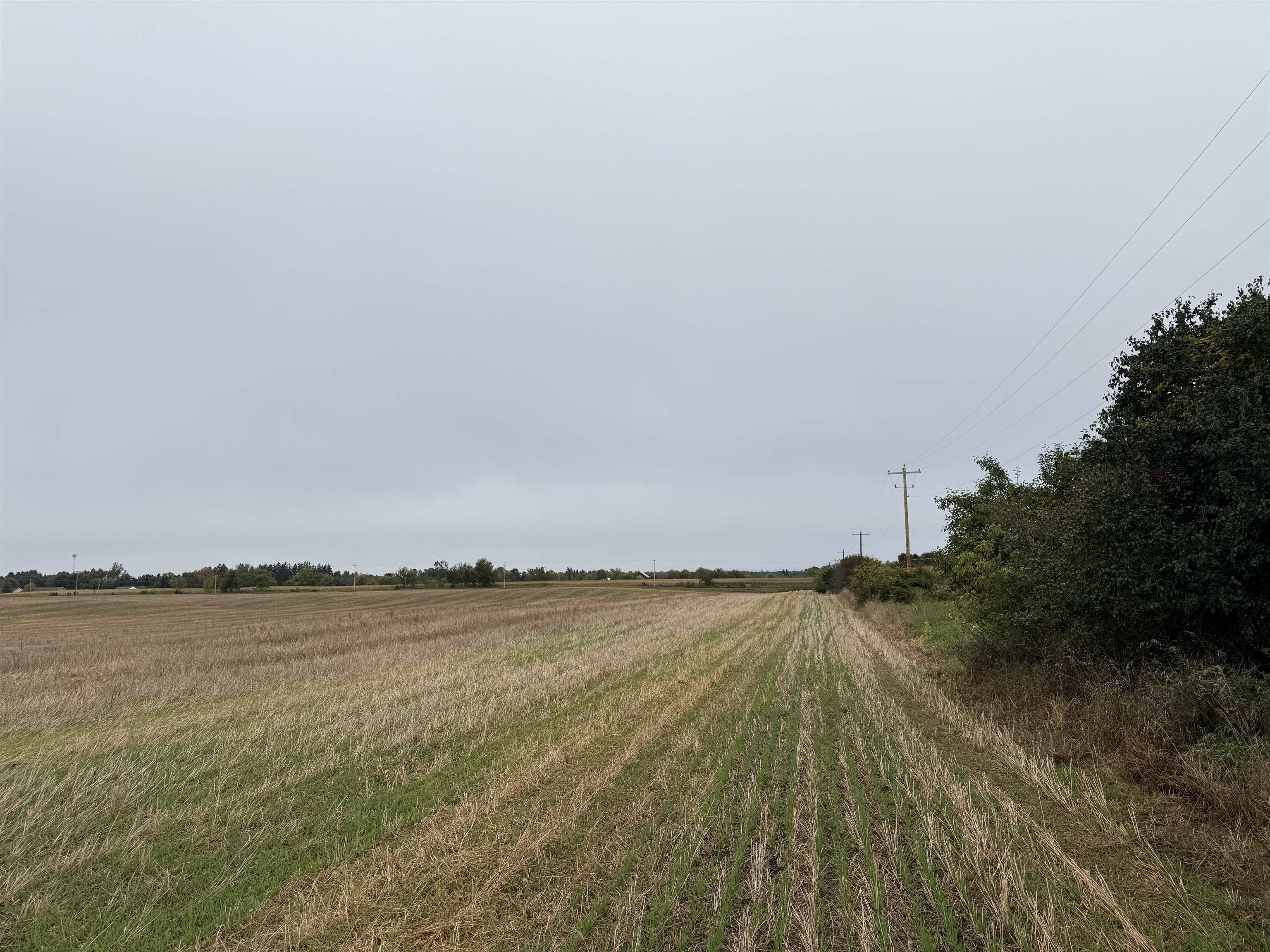 00 COUNTY ROAD V, Amherst, Wisconsin 54406, ,Land,For Sale,00 COUNTY ROAD V,22504565