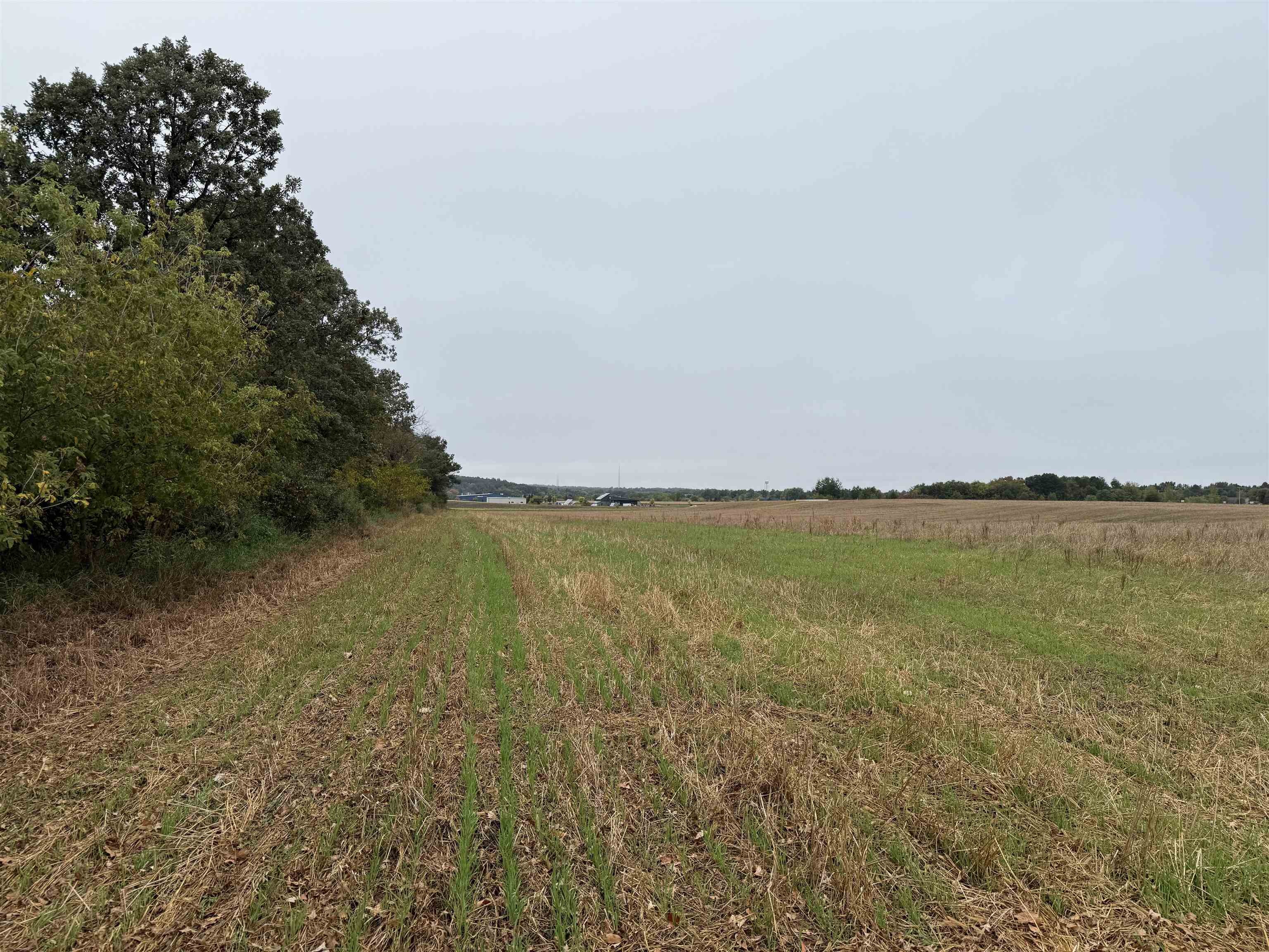 00 COUNTY ROAD V, Amherst, Wisconsin 54406, ,Land,For Sale,00 COUNTY ROAD V,22504565