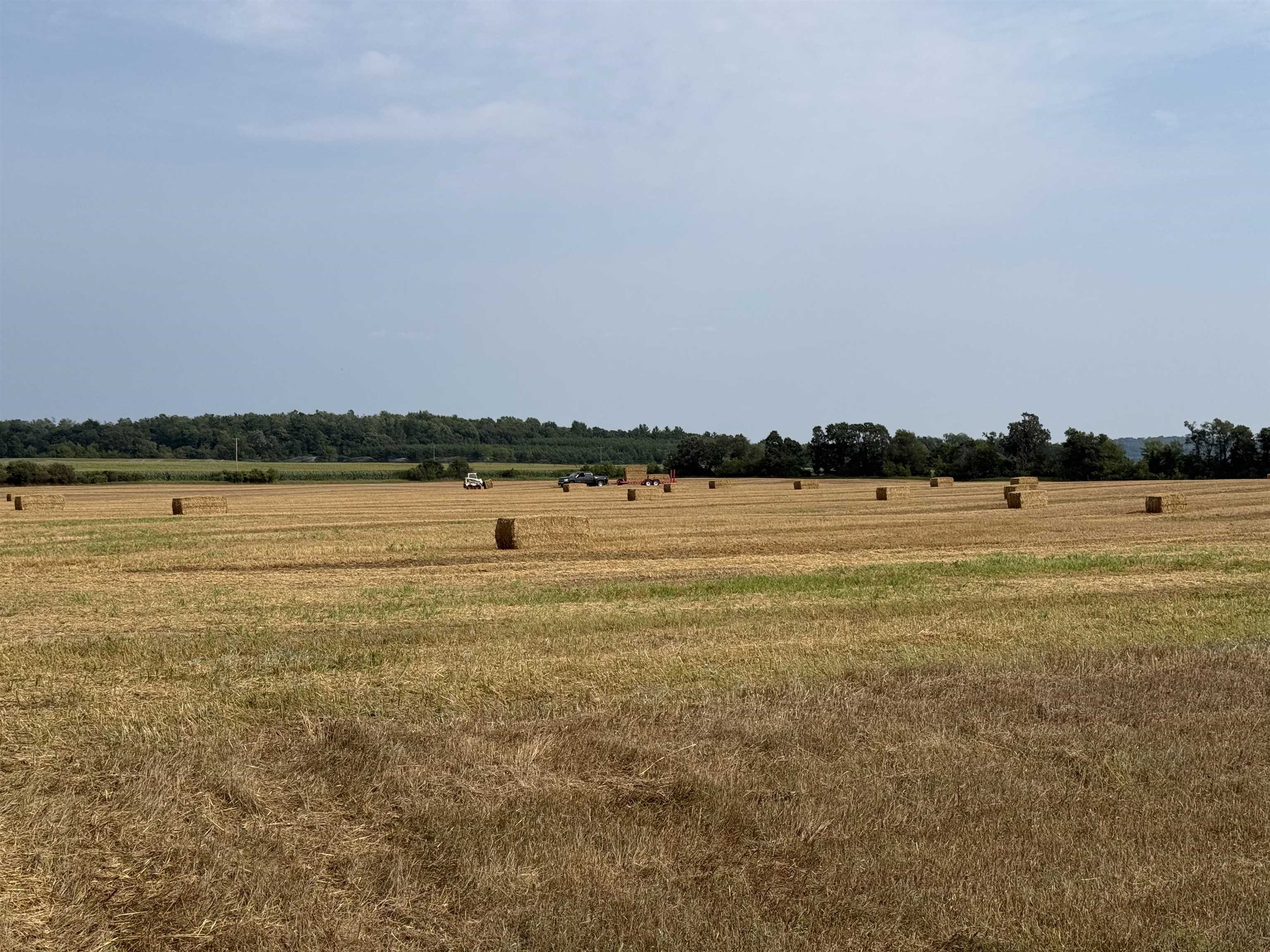 00 COUNTY ROAD V, Amherst, Wisconsin 54406, ,Land,For Sale,00 COUNTY ROAD V,22504565