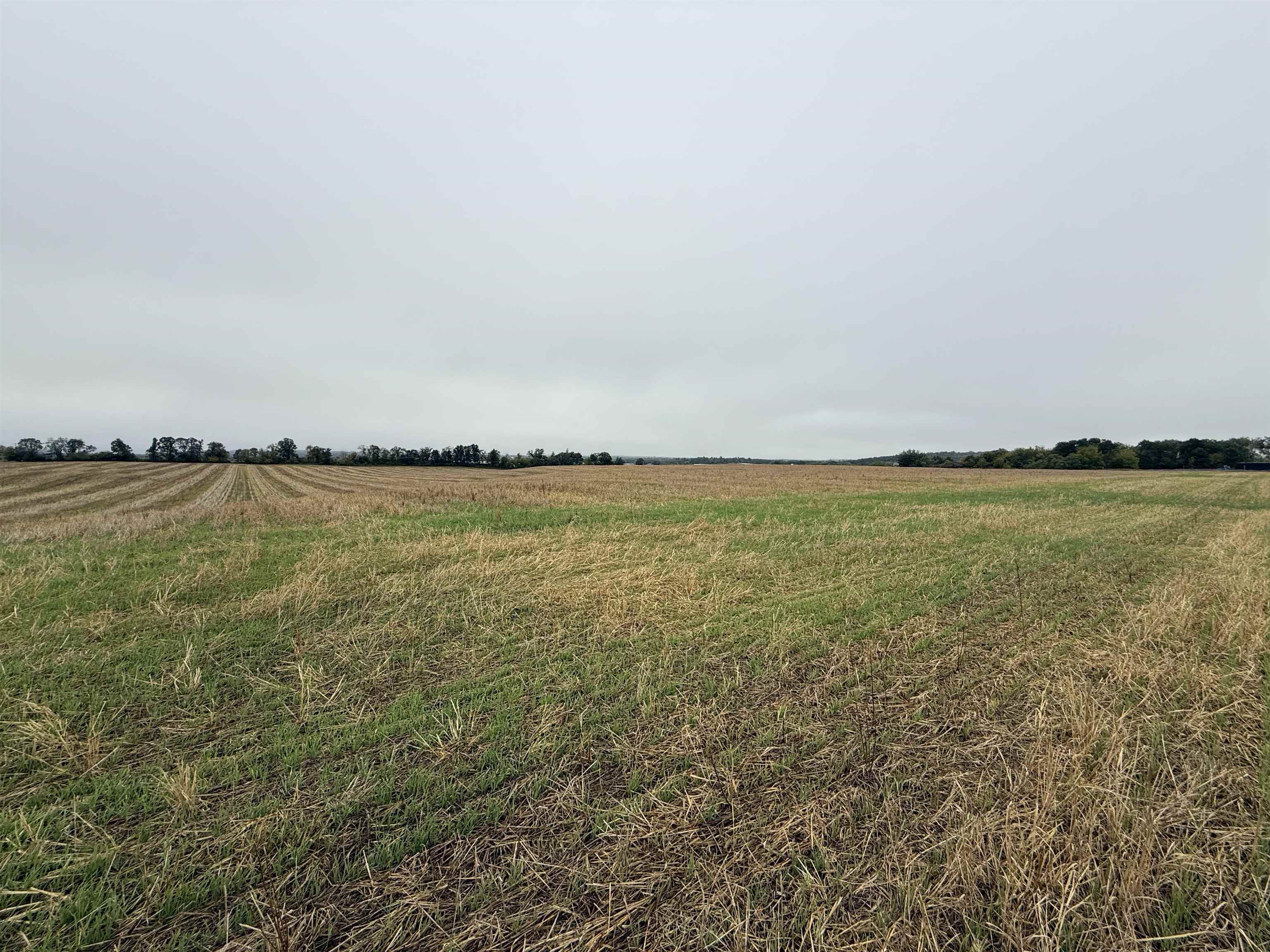 00 COUNTY ROAD V, Amherst, Wisconsin 54406, ,Land,For Sale,00 COUNTY ROAD V,22504565