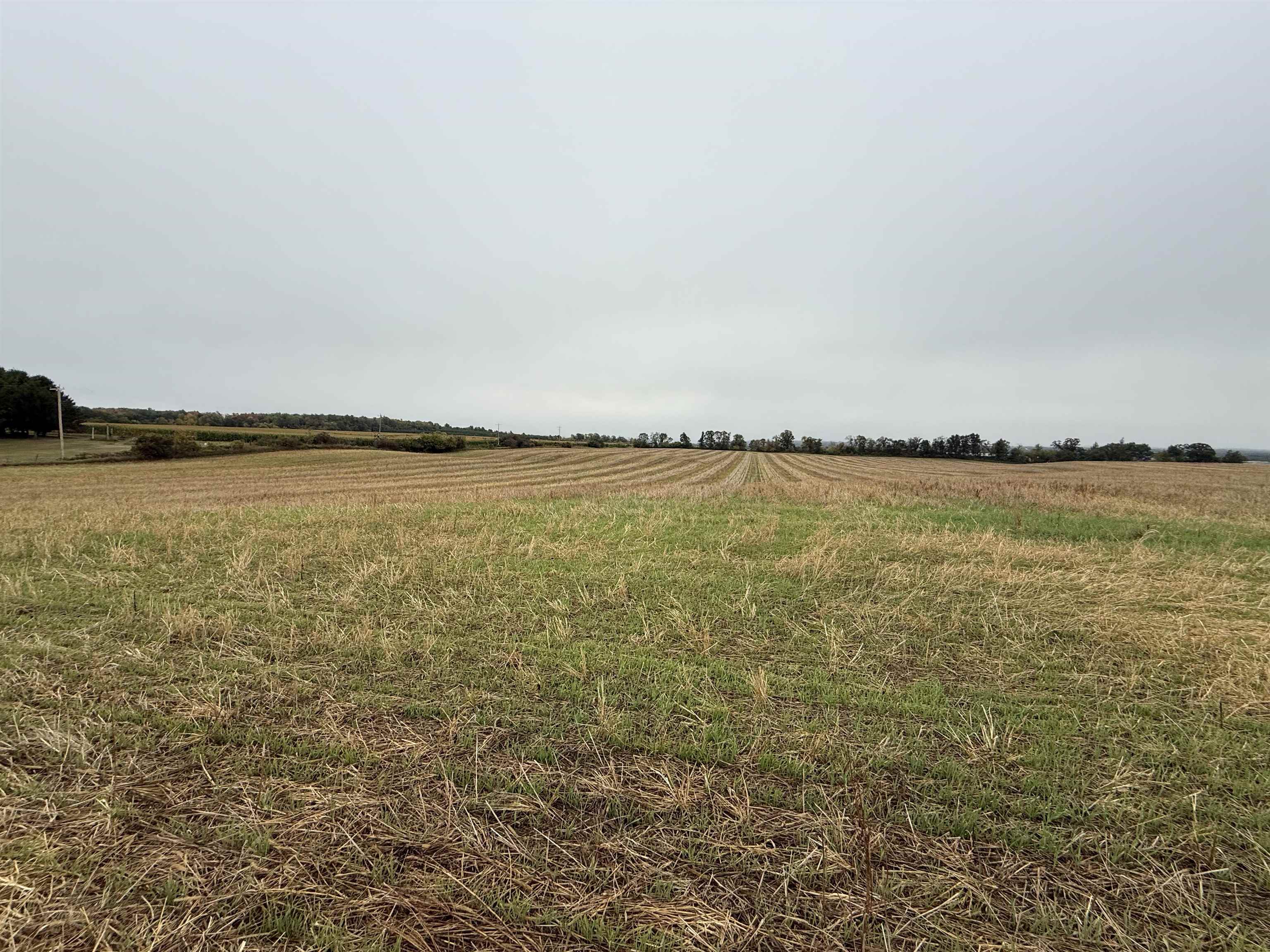00 COUNTY ROAD V, Amherst, Wisconsin 54406, ,Land,For Sale,00 COUNTY ROAD V,22504565