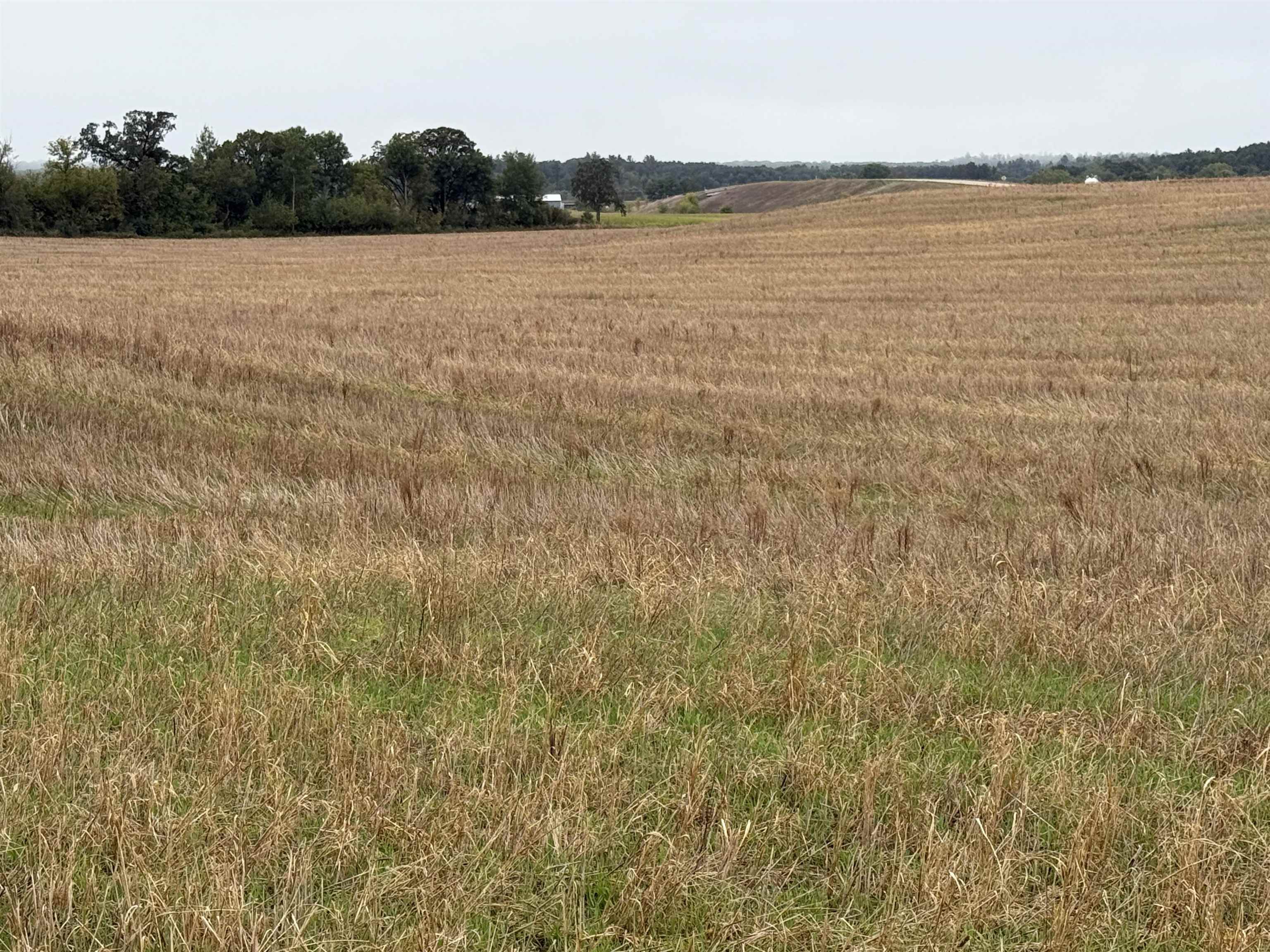 00 COUNTY ROAD V, Amherst, Wisconsin 54406, ,Land,For Sale,00 COUNTY ROAD V,22504565