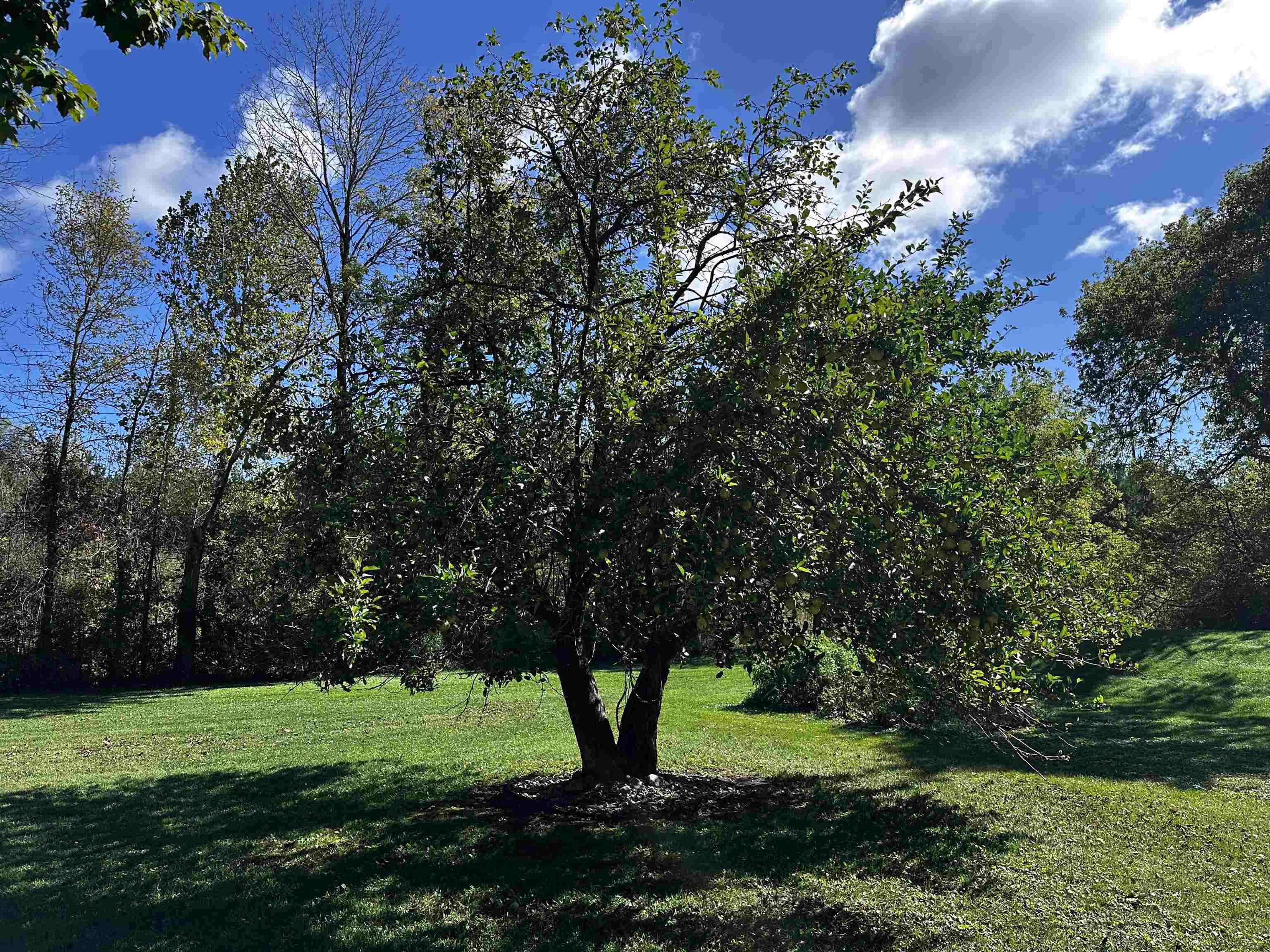 9873 E ANTON ROAD, Clintonville, Wisconsin 54929, 3 Bedrooms Bedrooms, ,2 BathroomsBathrooms,Residential,For Sale,9873 E ANTON ROAD,22504593