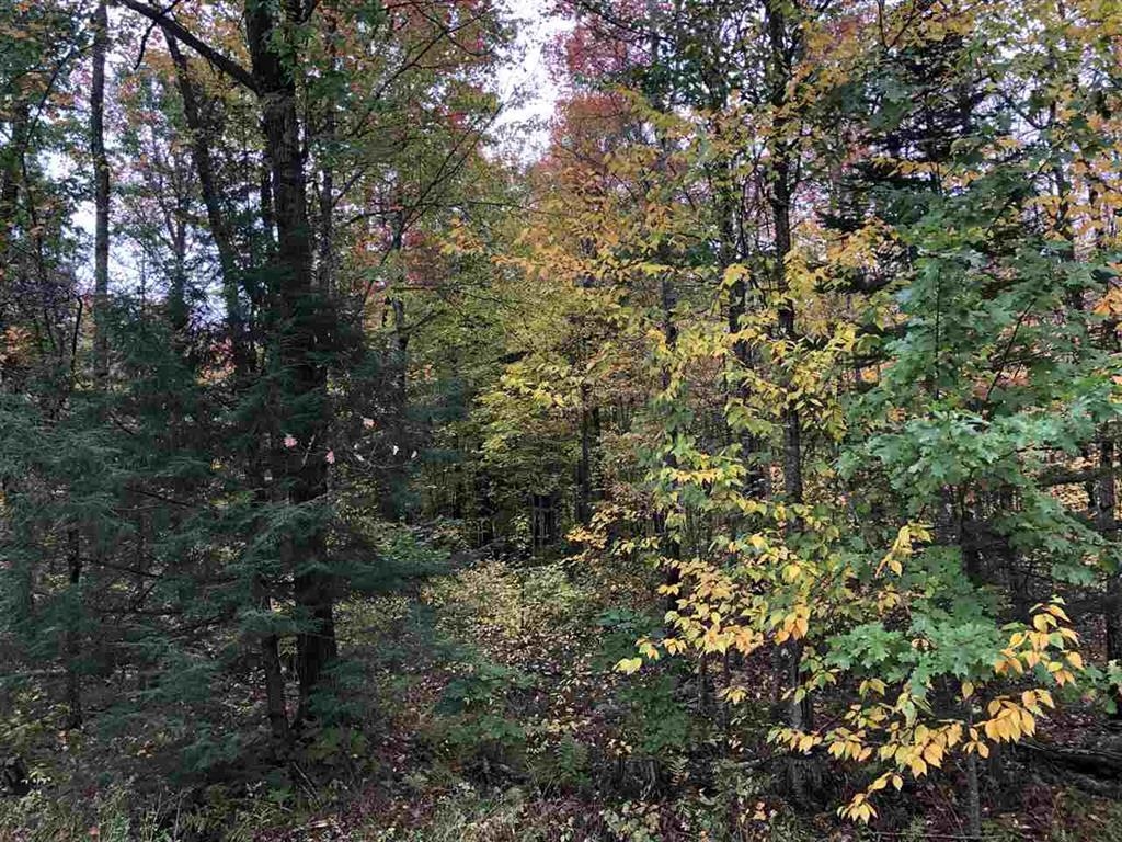 48.6 Acres COUNTY ROAD JJ, Merrill, Wisconsin 54452, ,Land,For Sale,48.6 Acres COUNTY ROAD JJ,22504629