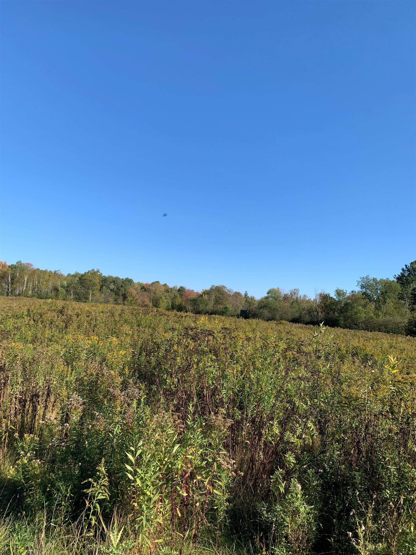 48.6 Acres COUNTY ROAD JJ, Merrill, Wisconsin 54452, ,Land,For Sale,48.6 Acres COUNTY ROAD JJ,22504629