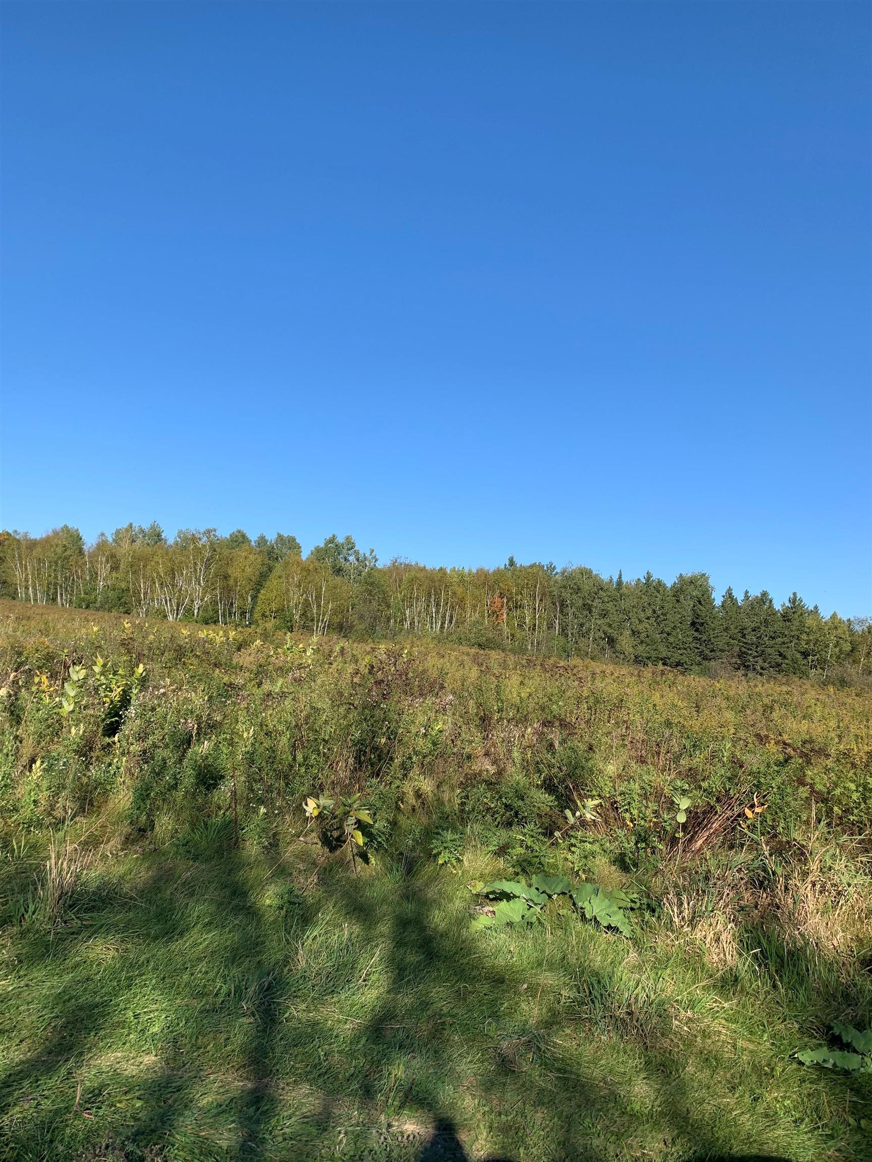 48.6 Acres COUNTY ROAD JJ, Merrill, Wisconsin 54452, ,Land,For Sale,48.6 Acres COUNTY ROAD JJ,22504629