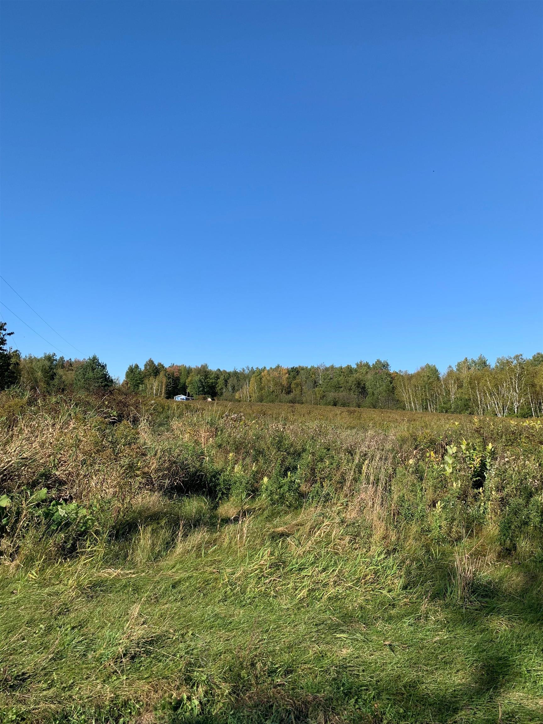 48.6 Acres COUNTY ROAD JJ, Merrill, Wisconsin 54452, ,Land,For Sale,48.6 Acres COUNTY ROAD JJ,22504629