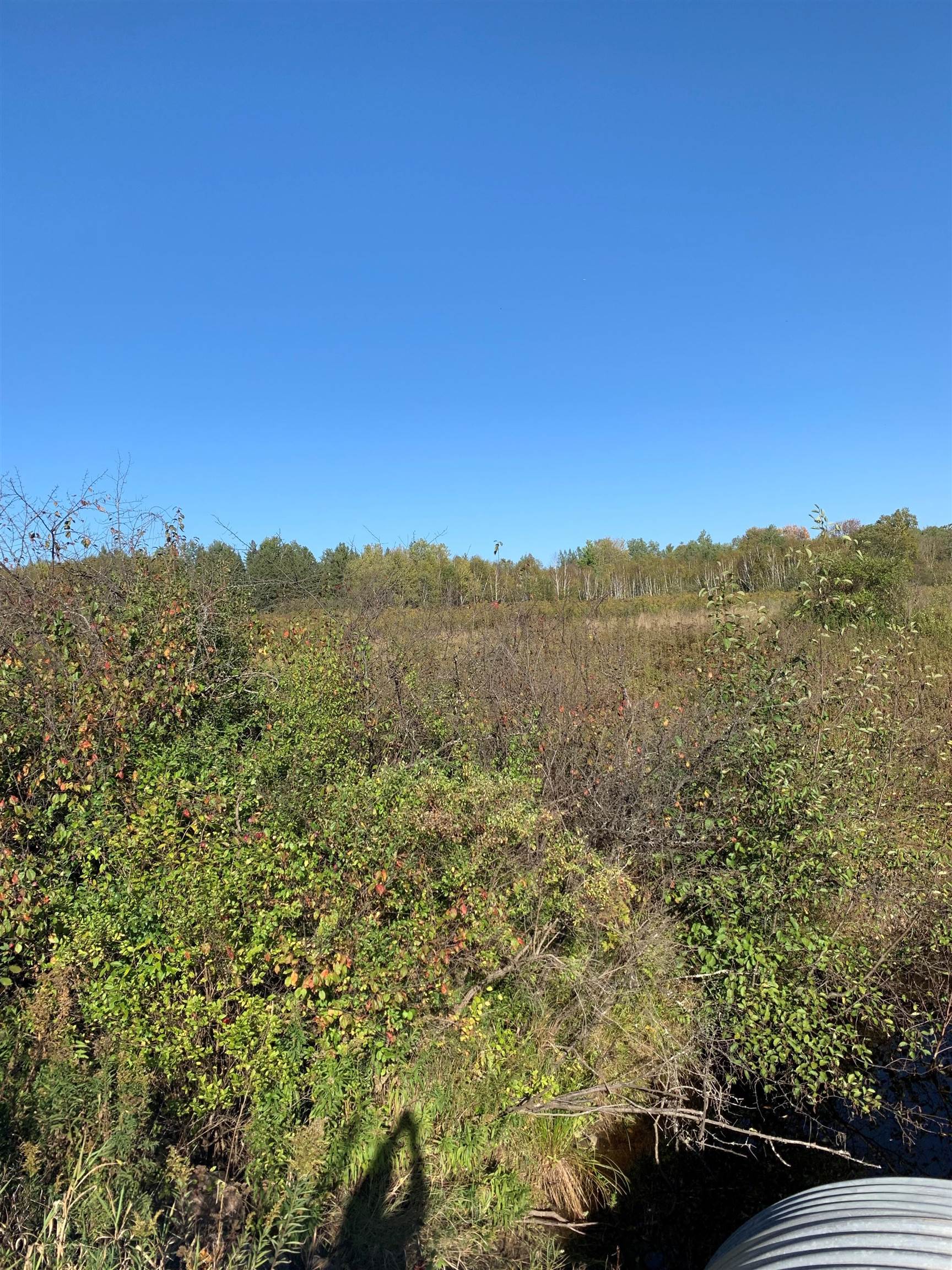 48.6 Acres COUNTY ROAD JJ, Merrill, Wisconsin 54452, ,Land,For Sale,48.6 Acres COUNTY ROAD JJ,22504629