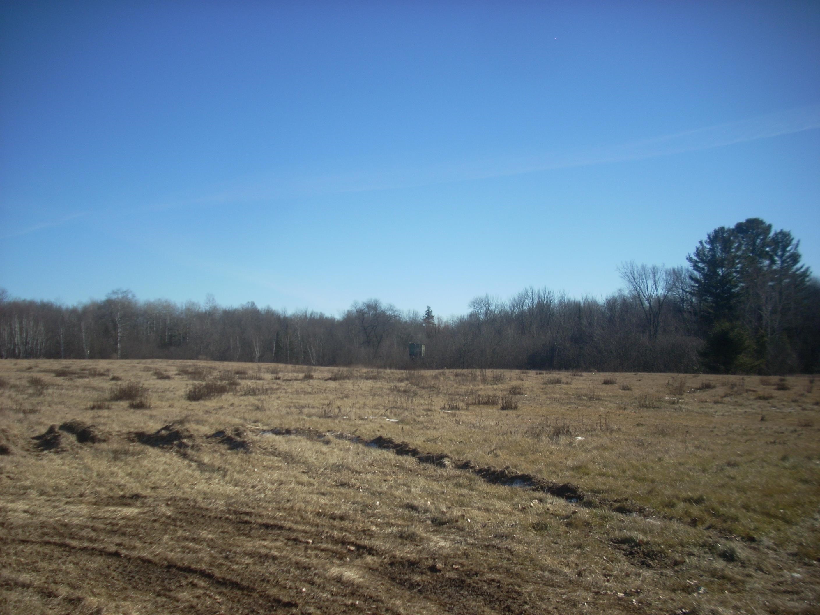 48.6 Acres COUNTY ROAD JJ, Merrill, Wisconsin 54452, ,Land,For Sale,48.6 Acres COUNTY ROAD JJ,22504629