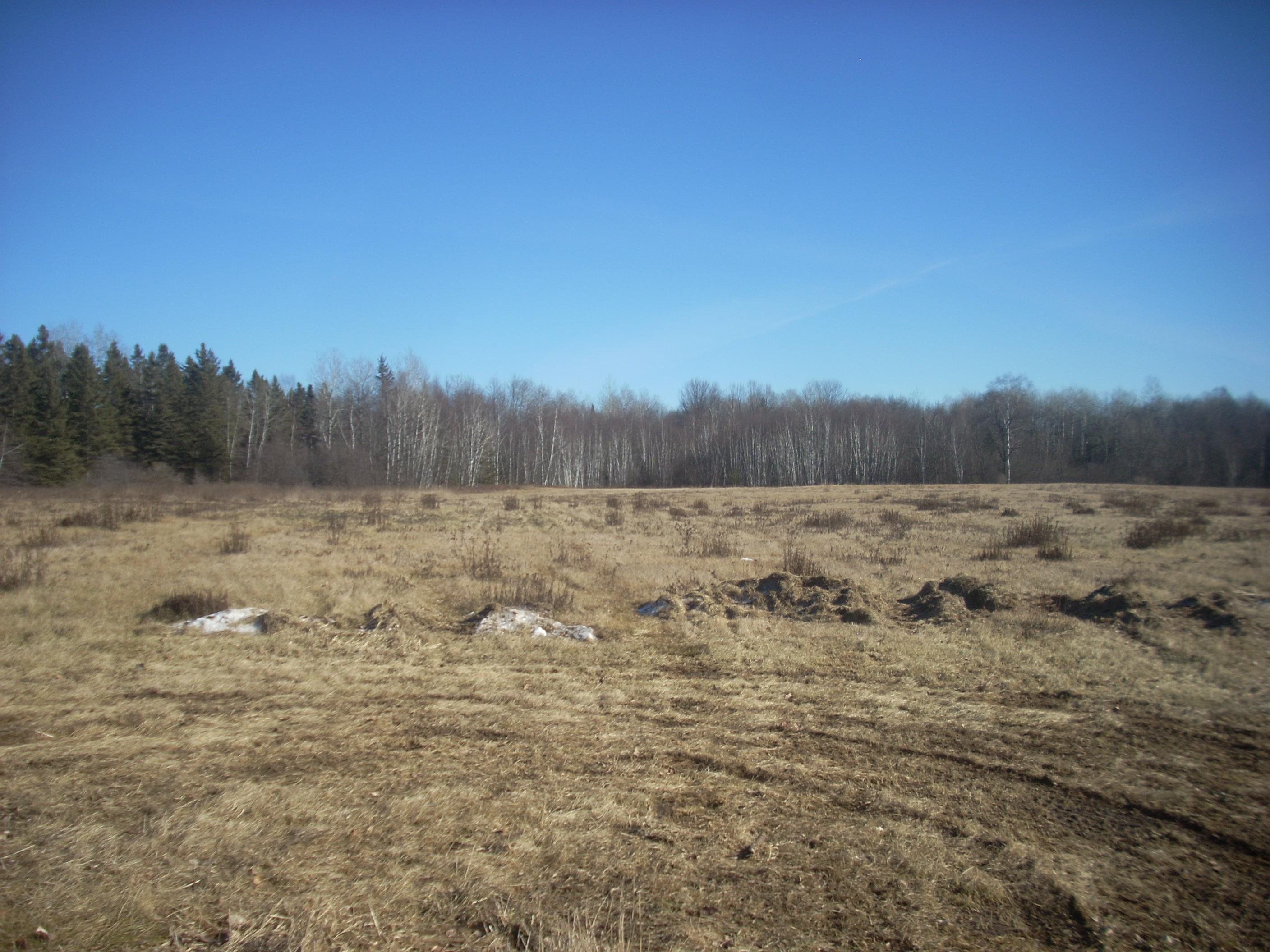 48.6 Acres COUNTY ROAD JJ, Merrill, Wisconsin 54452, ,Land,For Sale,48.6 Acres COUNTY ROAD JJ,22504629
