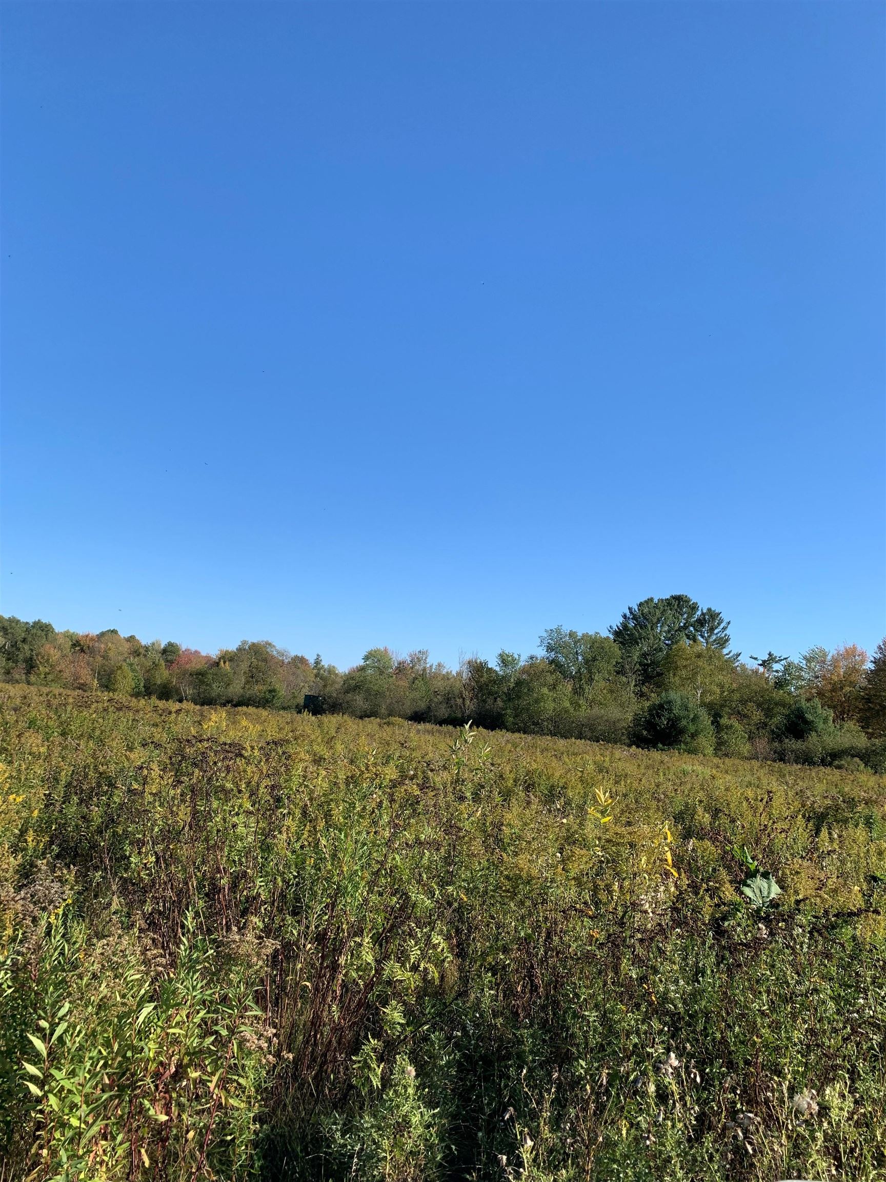48.6 Acres COUNTY ROAD JJ, Merrill, Wisconsin 54452, ,Land,For Sale,48.6 Acres COUNTY ROAD JJ,22504629