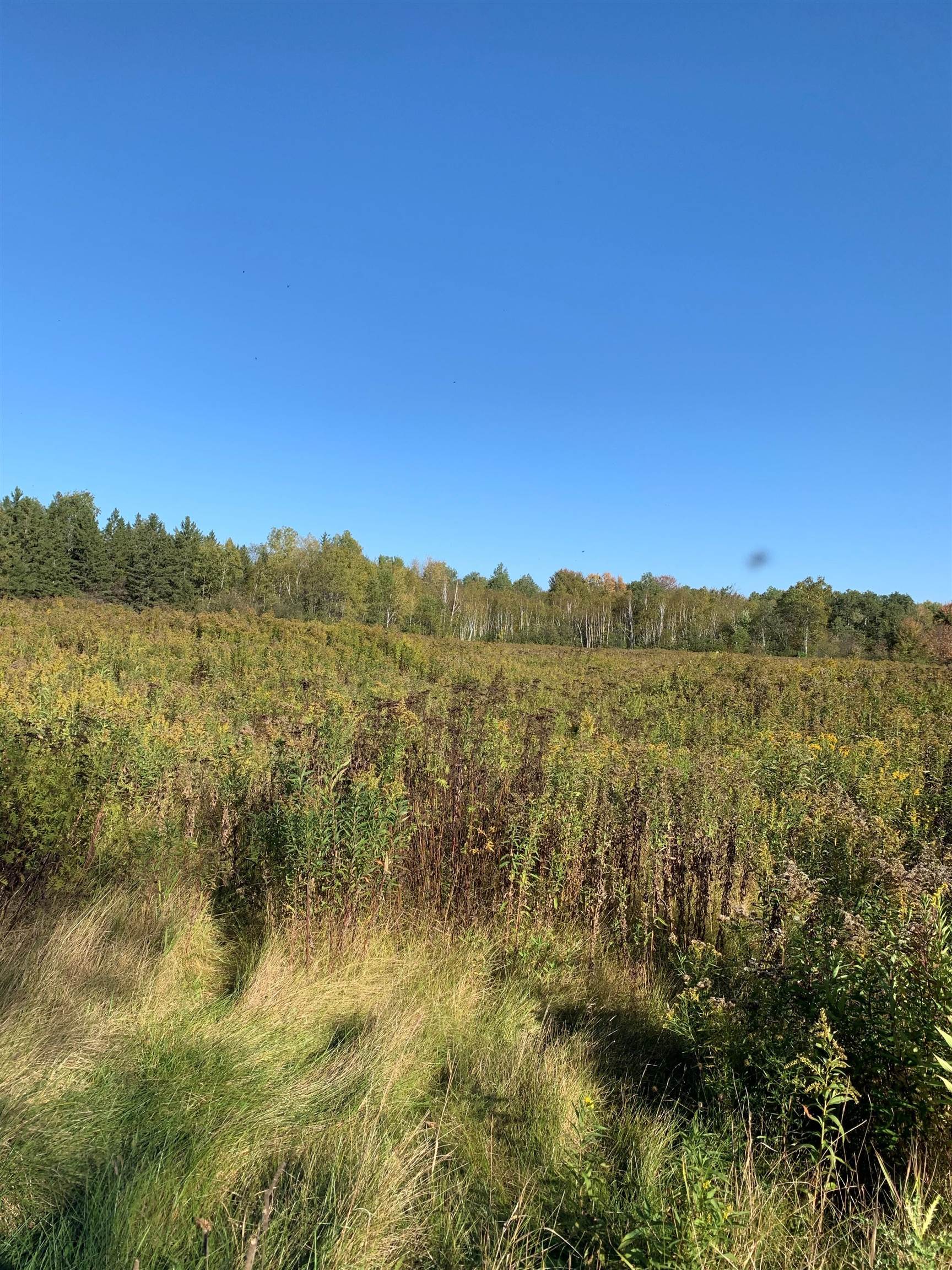 48.6 Acres COUNTY ROAD JJ, Merrill, Wisconsin 54452, ,Land,For Sale,48.6 Acres COUNTY ROAD JJ,22504629