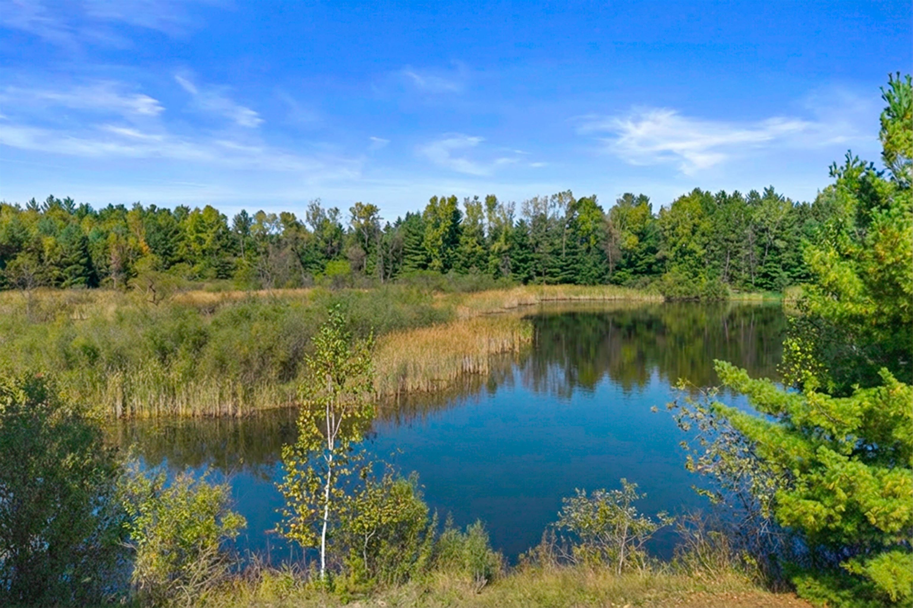 Lot 6 GOLDENROD LANE, Custer, Wisconsin 54423, ,Land,For Sale,Lot 6 GOLDENROD LANE,22504676