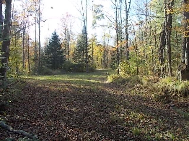 N4835 BURMA ROAD, Merrill, Wisconsin 54452, ,Land,For Sale,N4835 BURMA ROAD,22504733