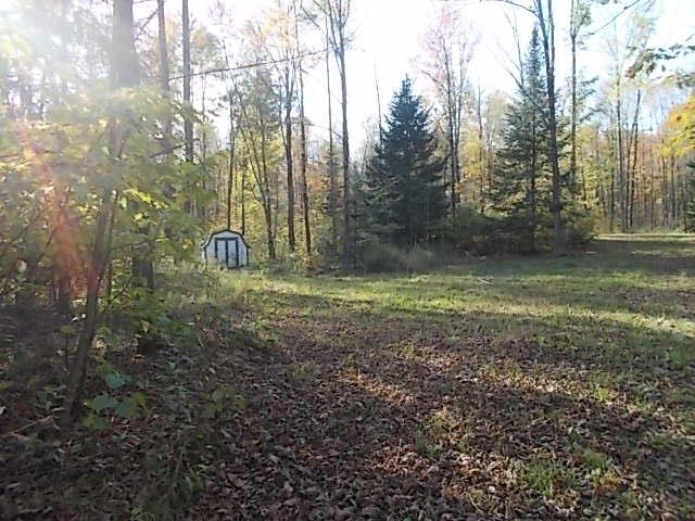 N4835 BURMA ROAD, Merrill, Wisconsin 54452, ,Land,For Sale,N4835 BURMA ROAD,22504733