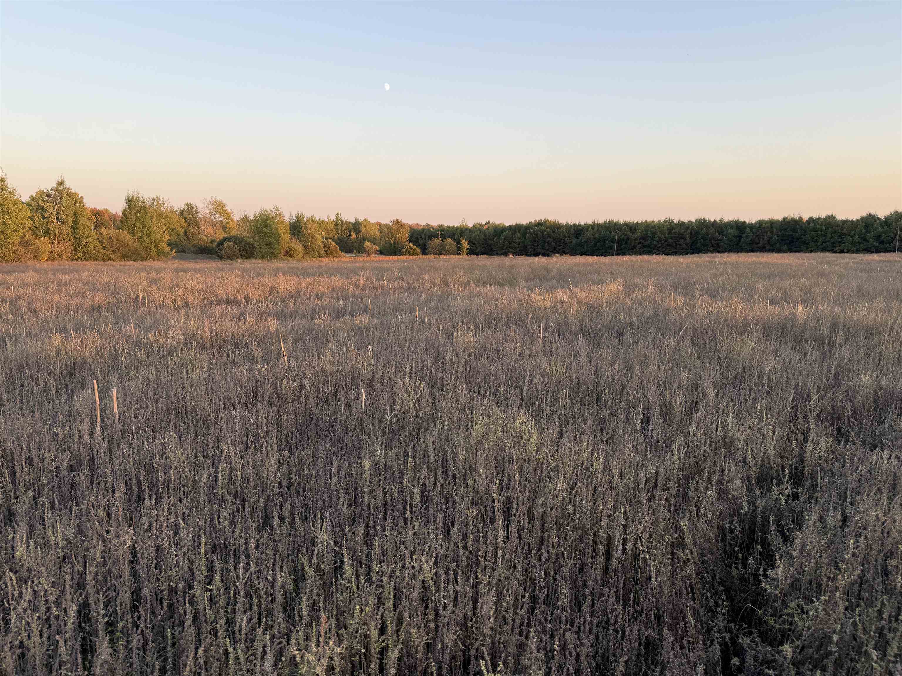 Lot 1 COUNTY ROAD Z, Ringle, Wisconsin 54471, ,Land,For Sale,Lot 1 COUNTY ROAD Z,22504767