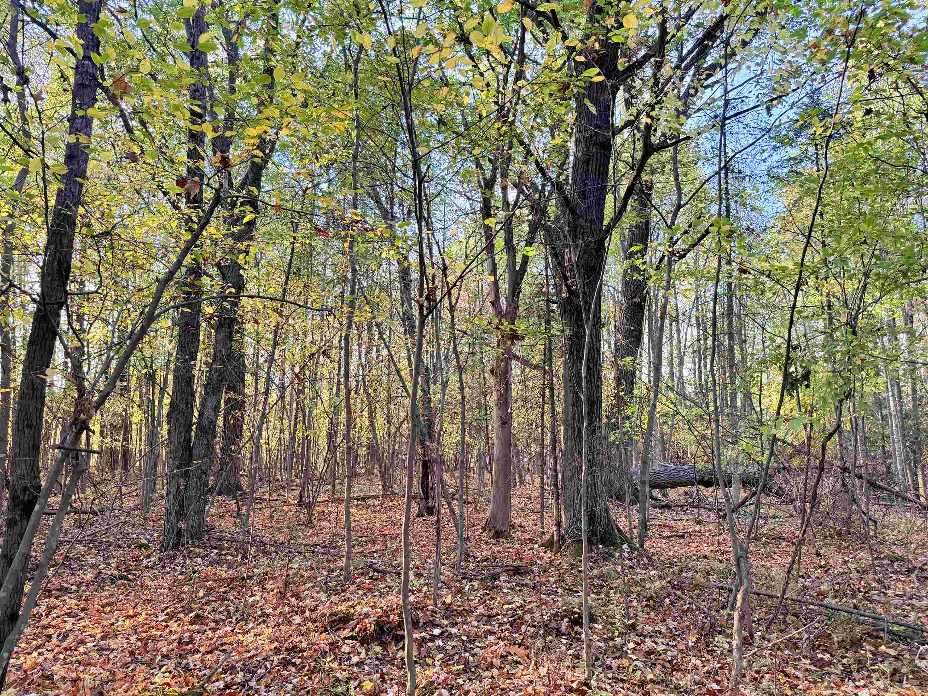 Lot 1 COUNTY ROAD Z, Ringle, Wisconsin 54471, ,Land,For Sale,Lot 1 COUNTY ROAD Z,22504767