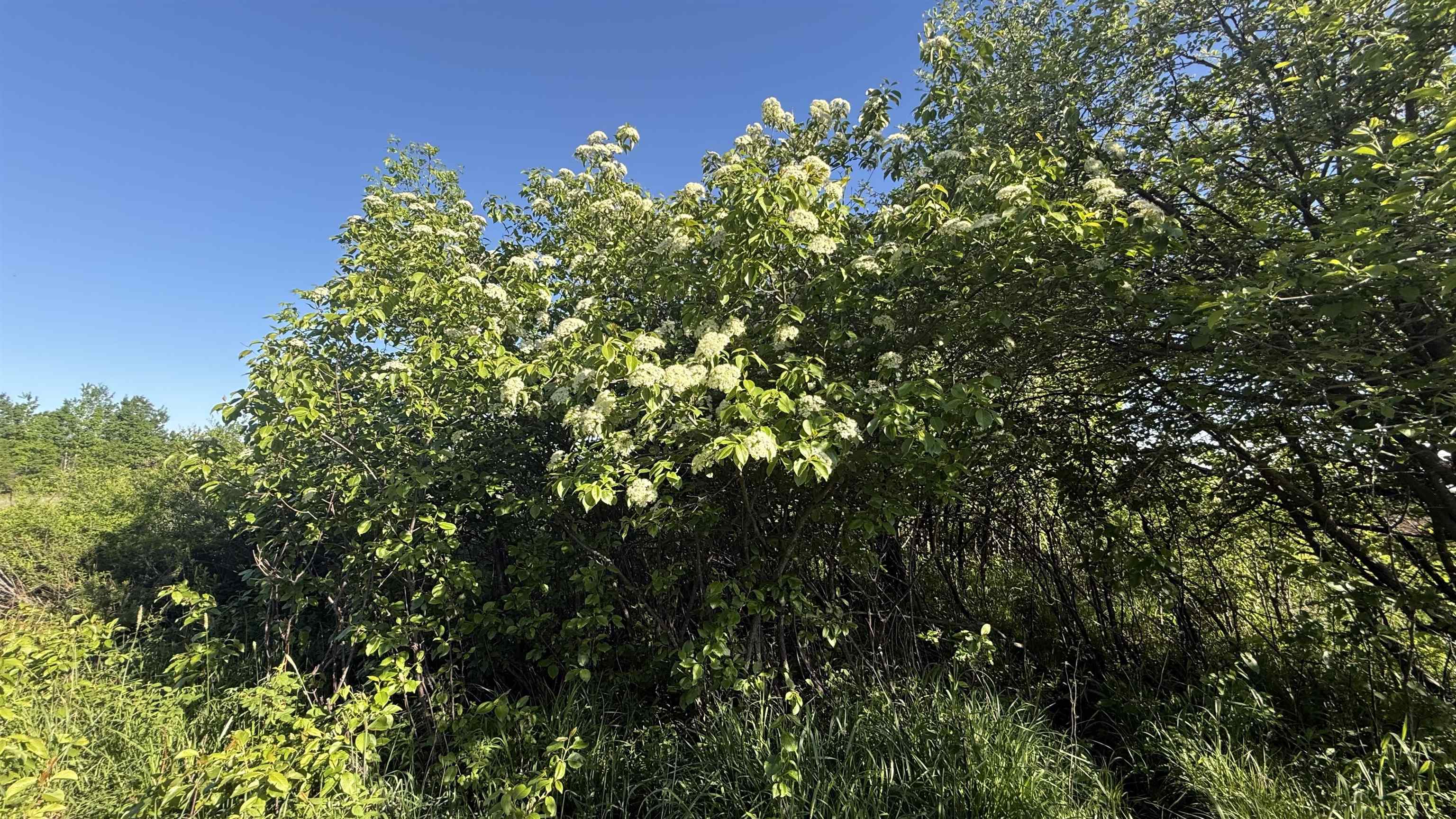 Lot 1 COUNTY ROAD Z, Ringle, Wisconsin 54471, ,Land,For Sale,Lot 1 COUNTY ROAD Z,22504767