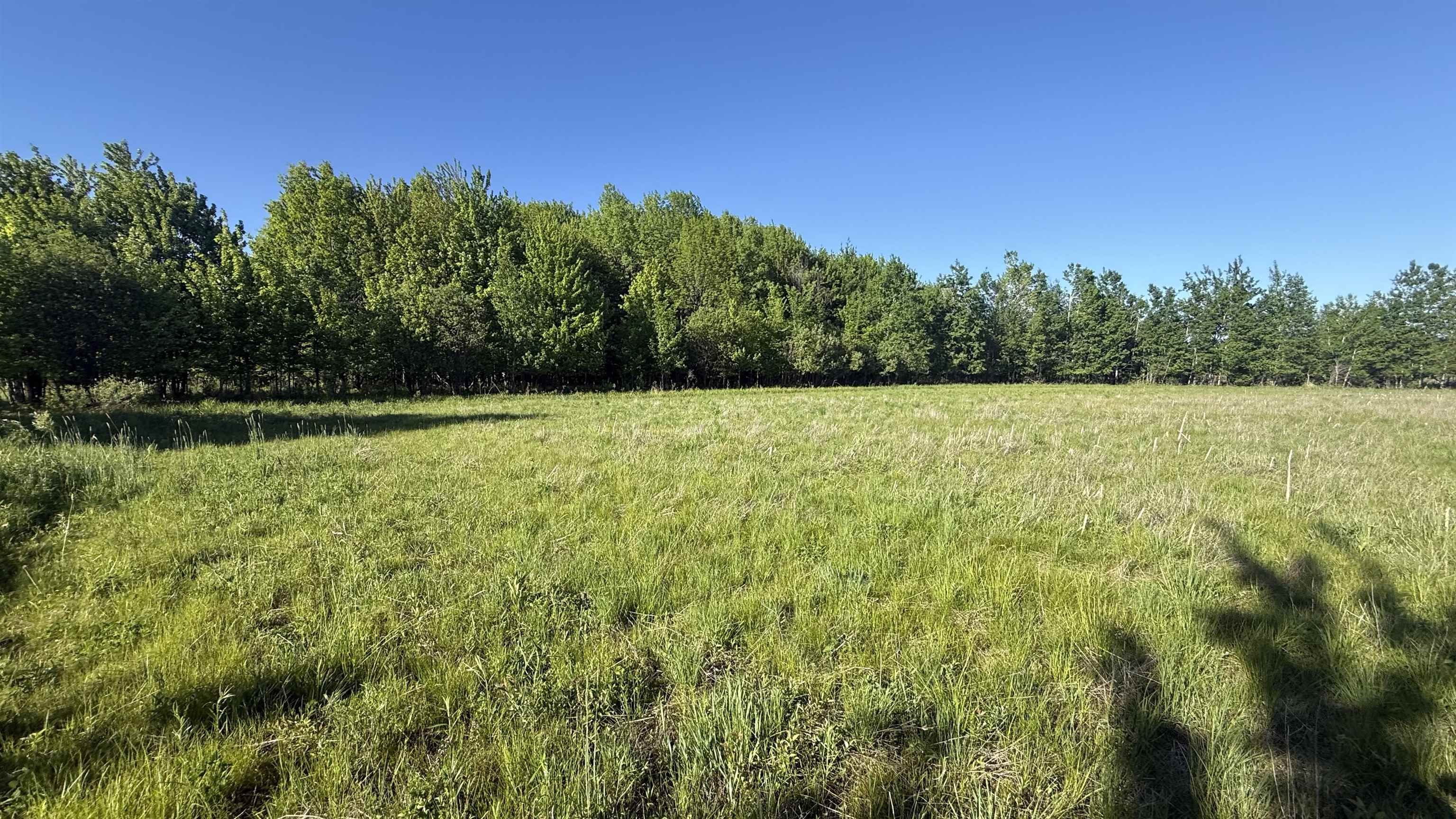 Lot 1 COUNTY ROAD Z, Ringle, Wisconsin 54471, ,Land,For Sale,Lot 1 COUNTY ROAD Z,22504767