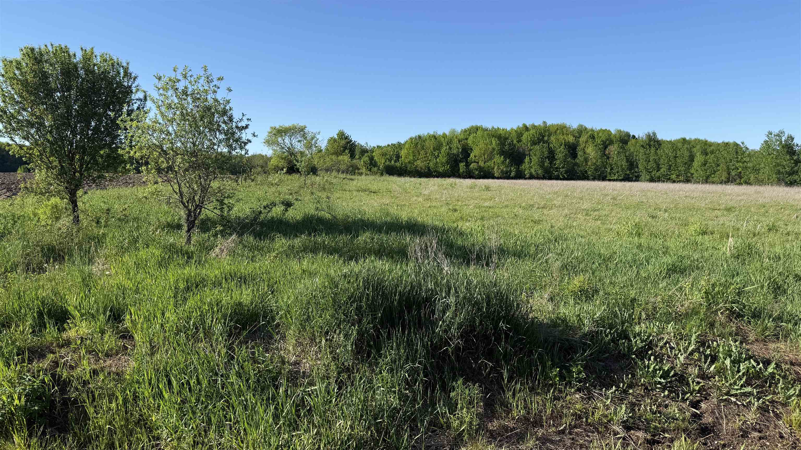 Lot 1 COUNTY ROAD Z, Ringle, Wisconsin 54471, ,Land,For Sale,Lot 1 COUNTY ROAD Z,22504767