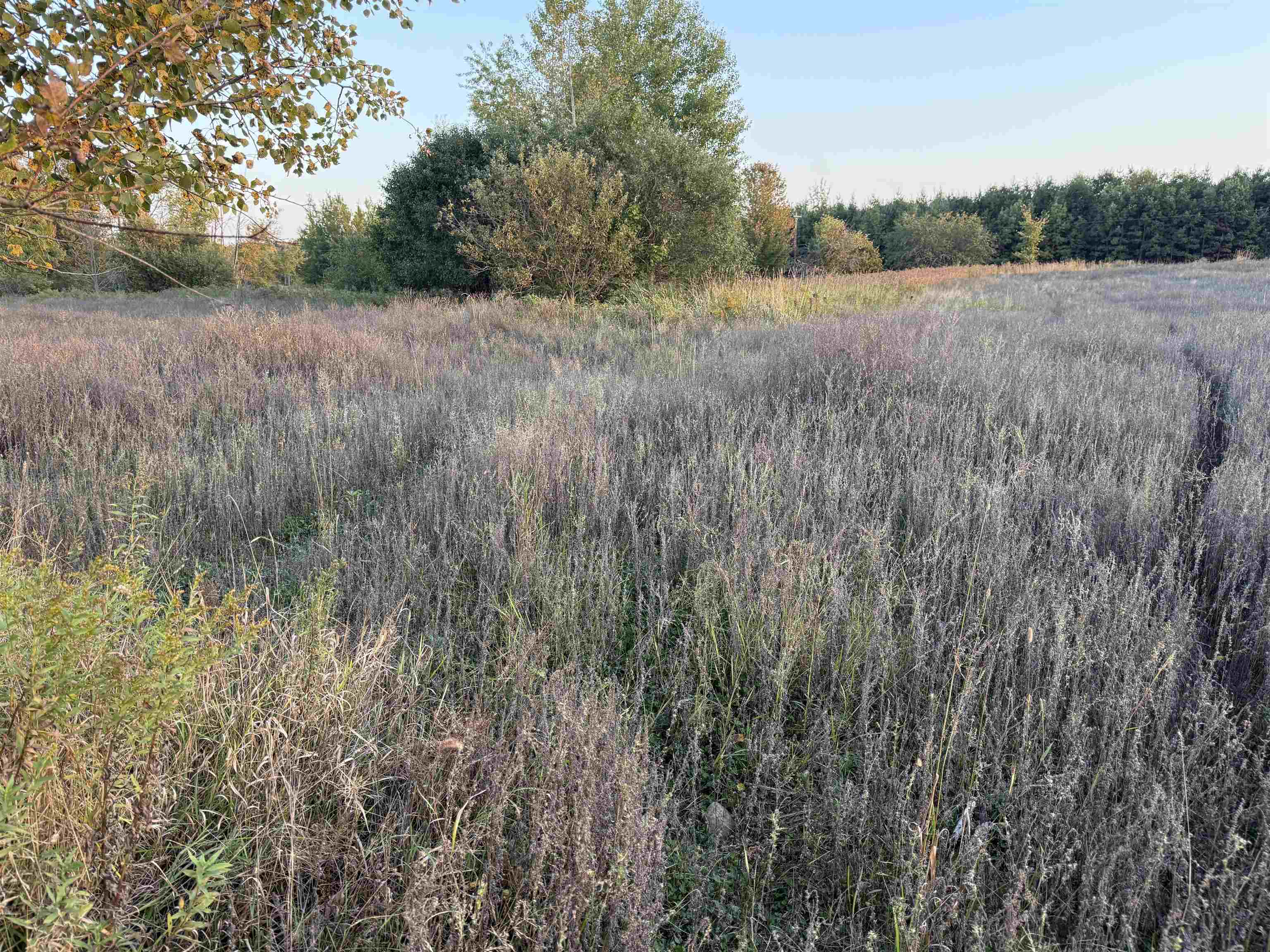 Lot 1 COUNTY ROAD Z, Ringle, Wisconsin 54471, ,Land,For Sale,Lot 1 COUNTY ROAD Z,22504767