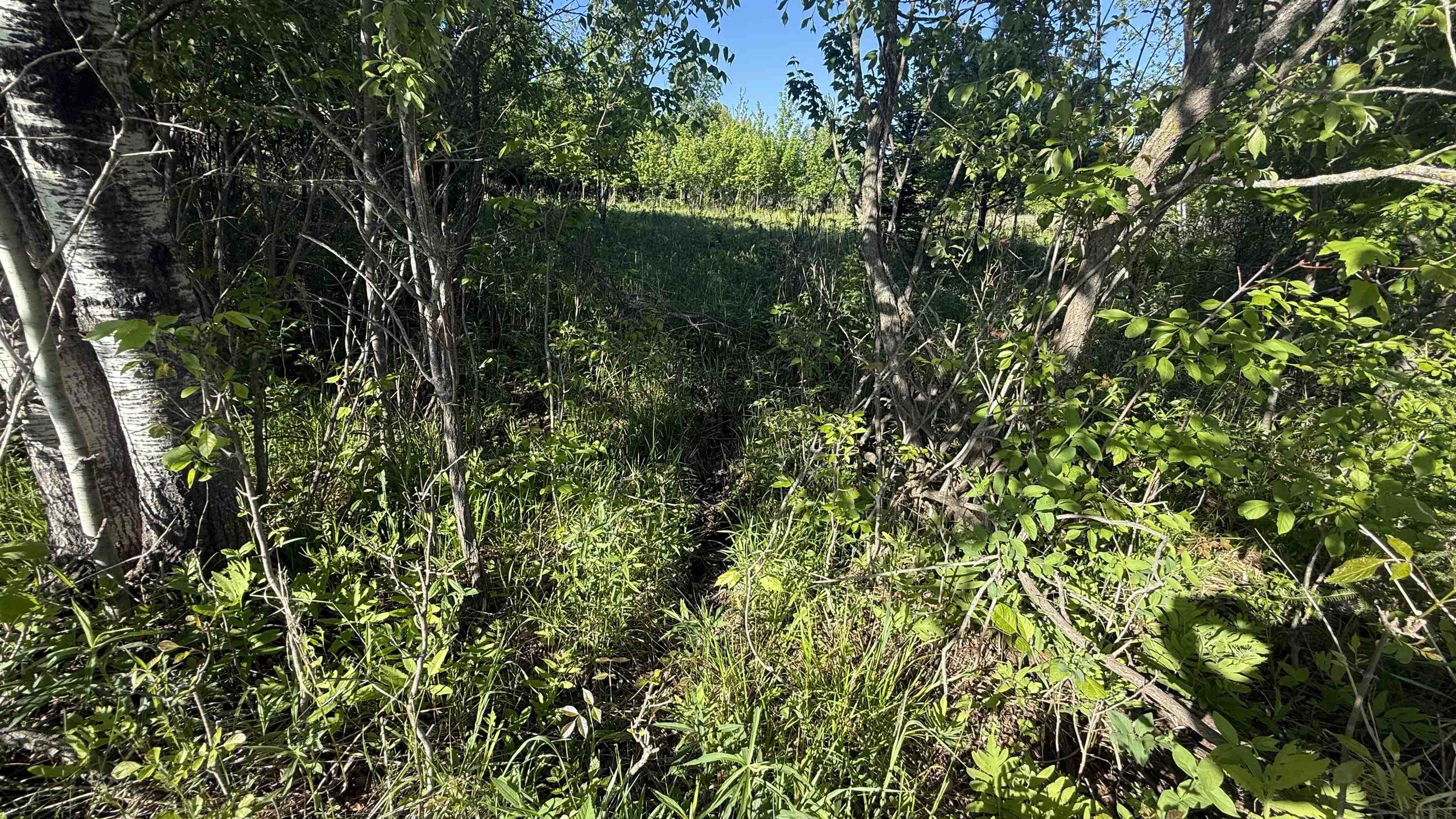 Lot 1 COUNTY ROAD Z, Ringle, Wisconsin 54471, ,Land,For Sale,Lot 1 COUNTY ROAD Z,22504767