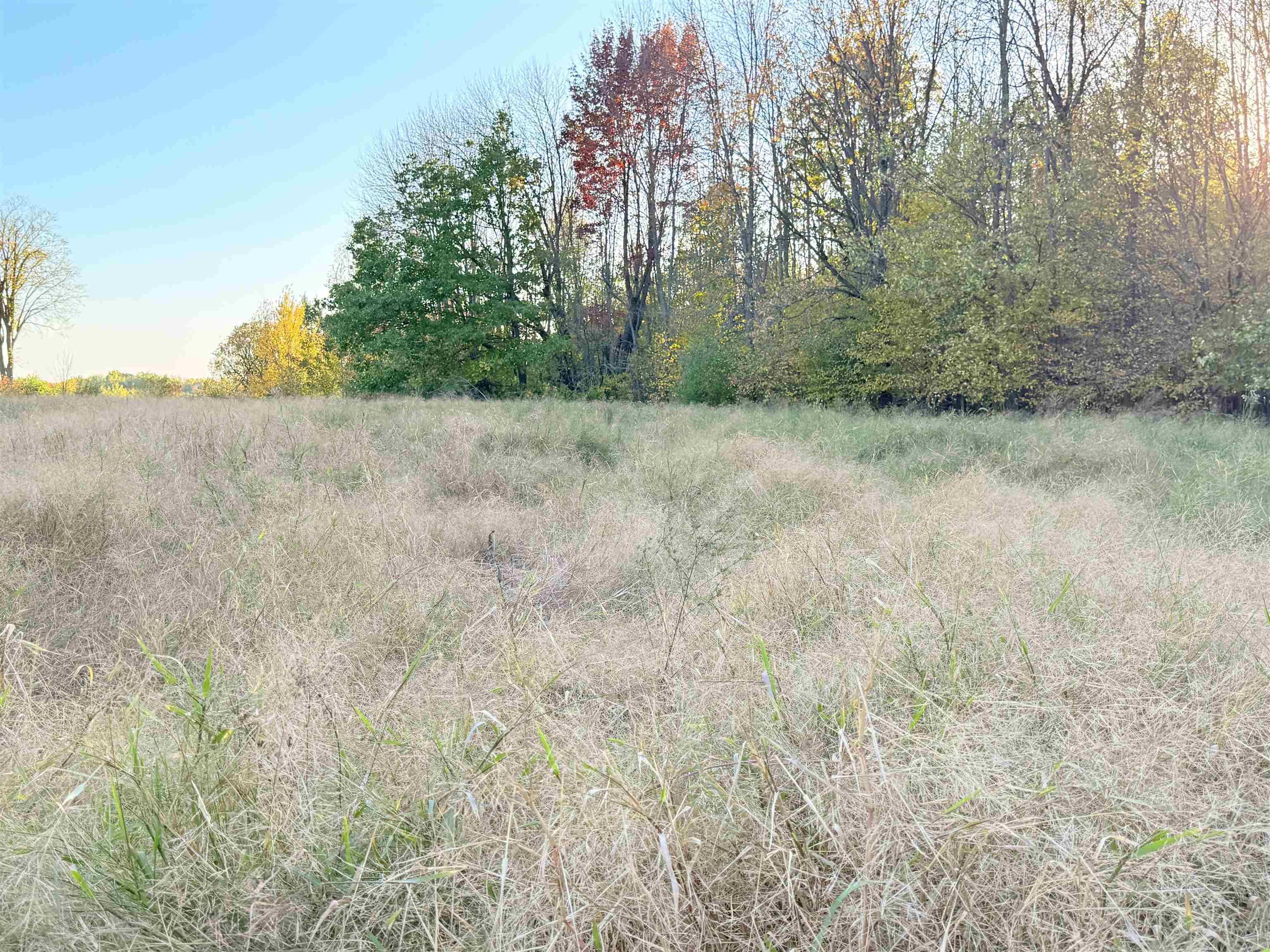 Lot 1 COUNTY ROAD Z, Ringle, Wisconsin 54471, ,Land,For Sale,Lot 1 COUNTY ROAD Z,22504767