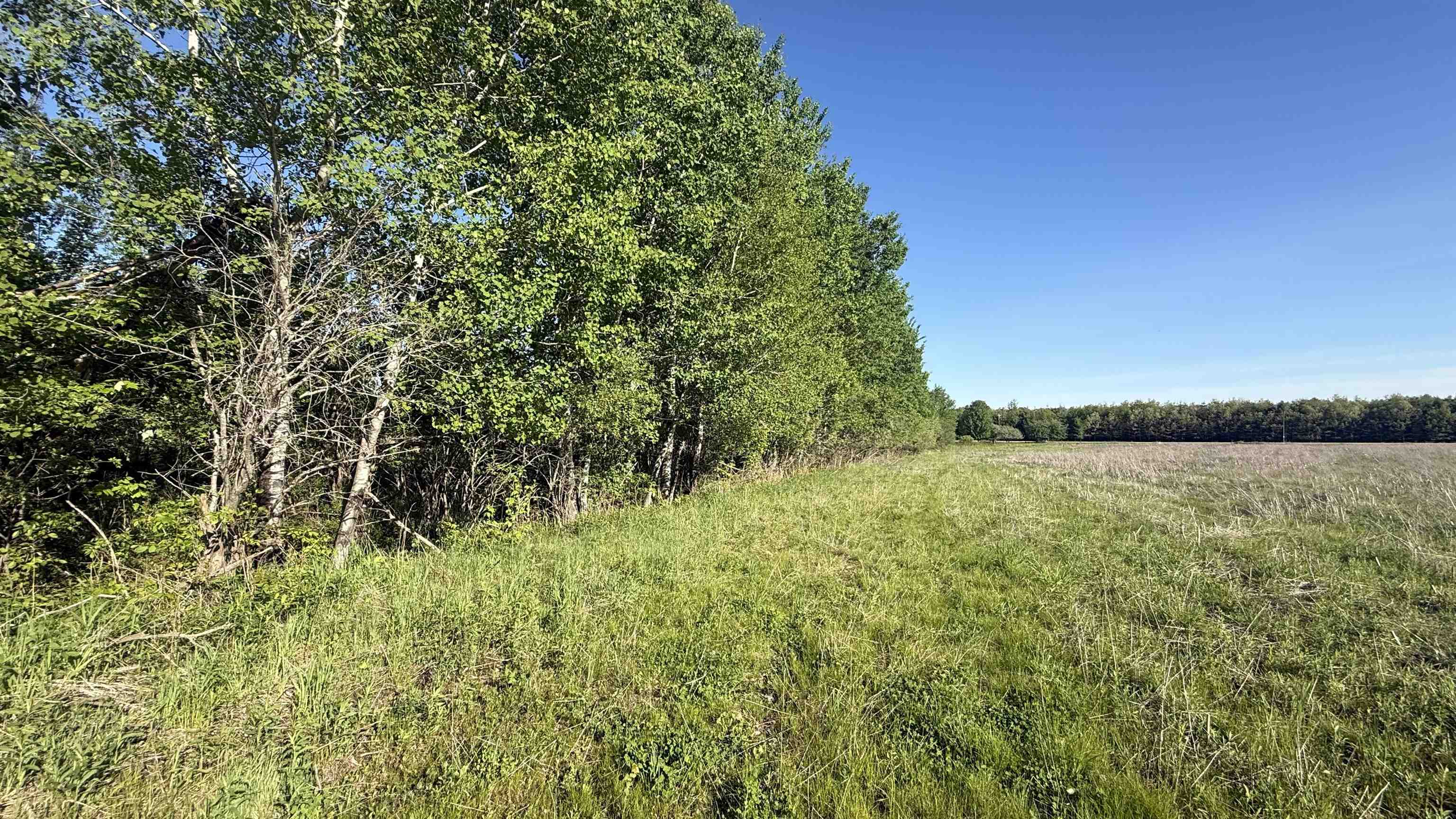 Lot 1 COUNTY ROAD Z, Ringle, Wisconsin 54471, ,Land,For Sale,Lot 1 COUNTY ROAD Z,22504767