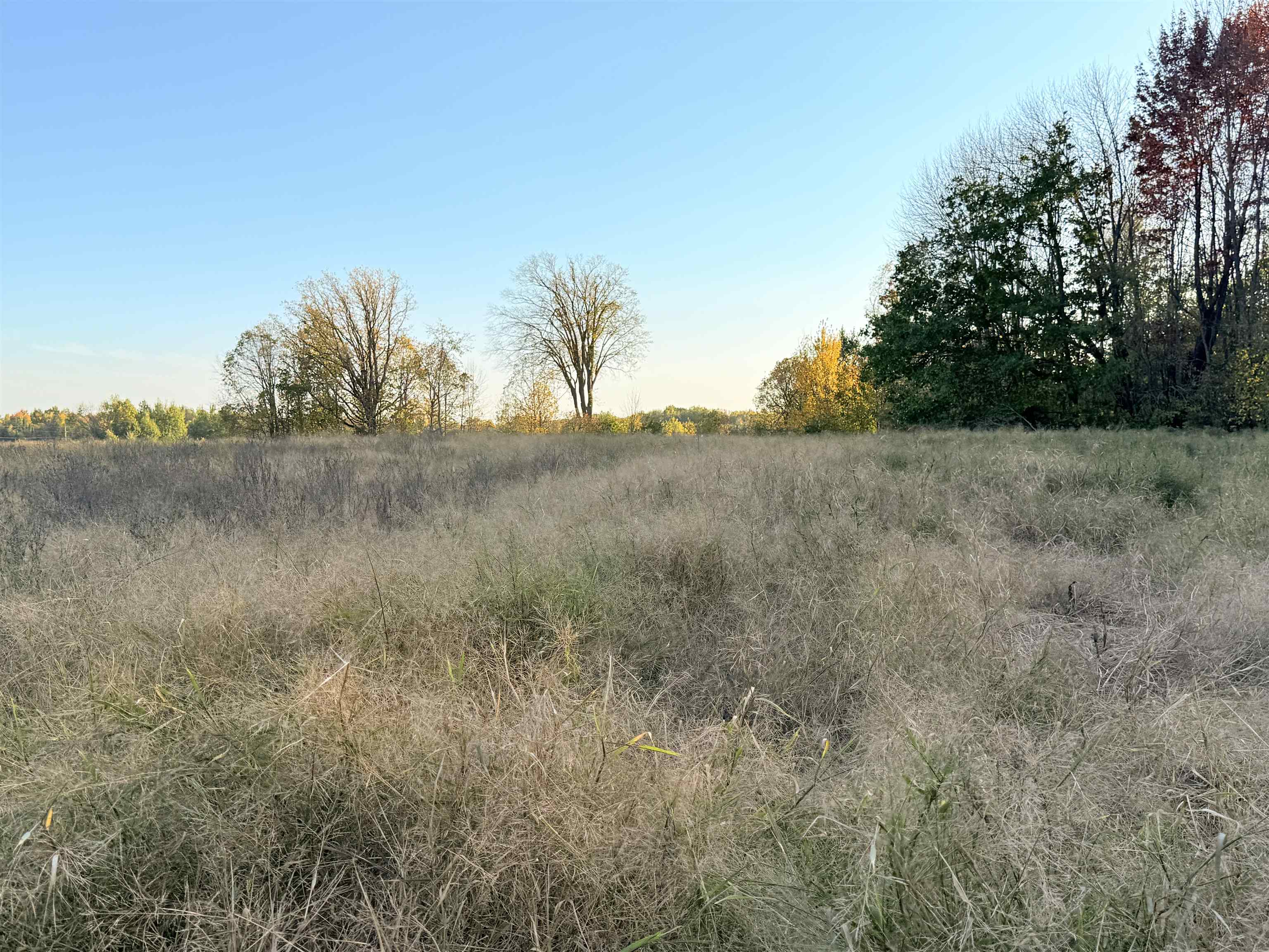 Lot 1 COUNTY ROAD Z, Ringle, Wisconsin 54471, ,Land,For Sale,Lot 1 COUNTY ROAD Z,22504767