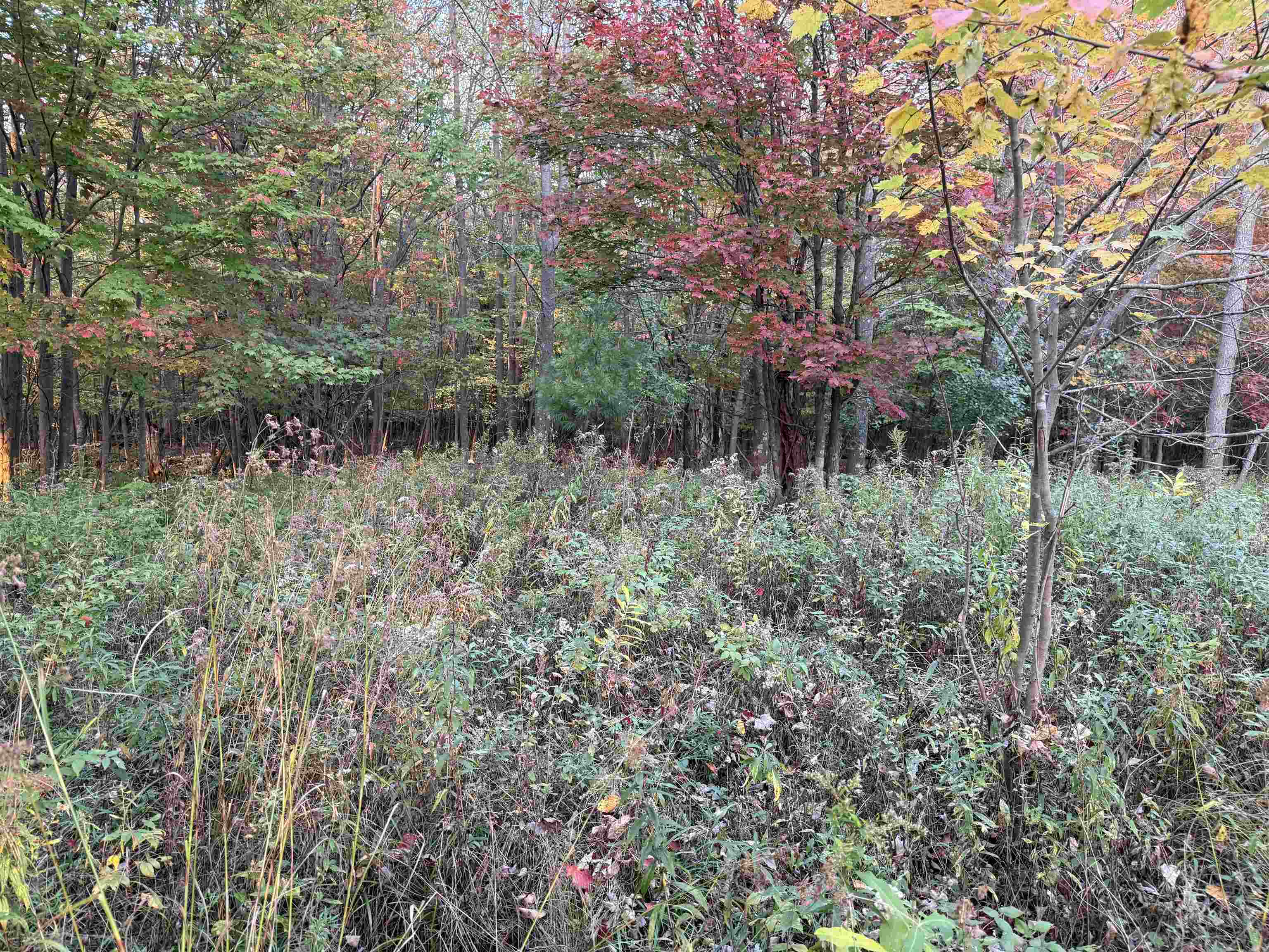 Lot 1 COUNTY ROAD Z, Ringle, Wisconsin 54471, ,Land,For Sale,Lot 1 COUNTY ROAD Z,22504767
