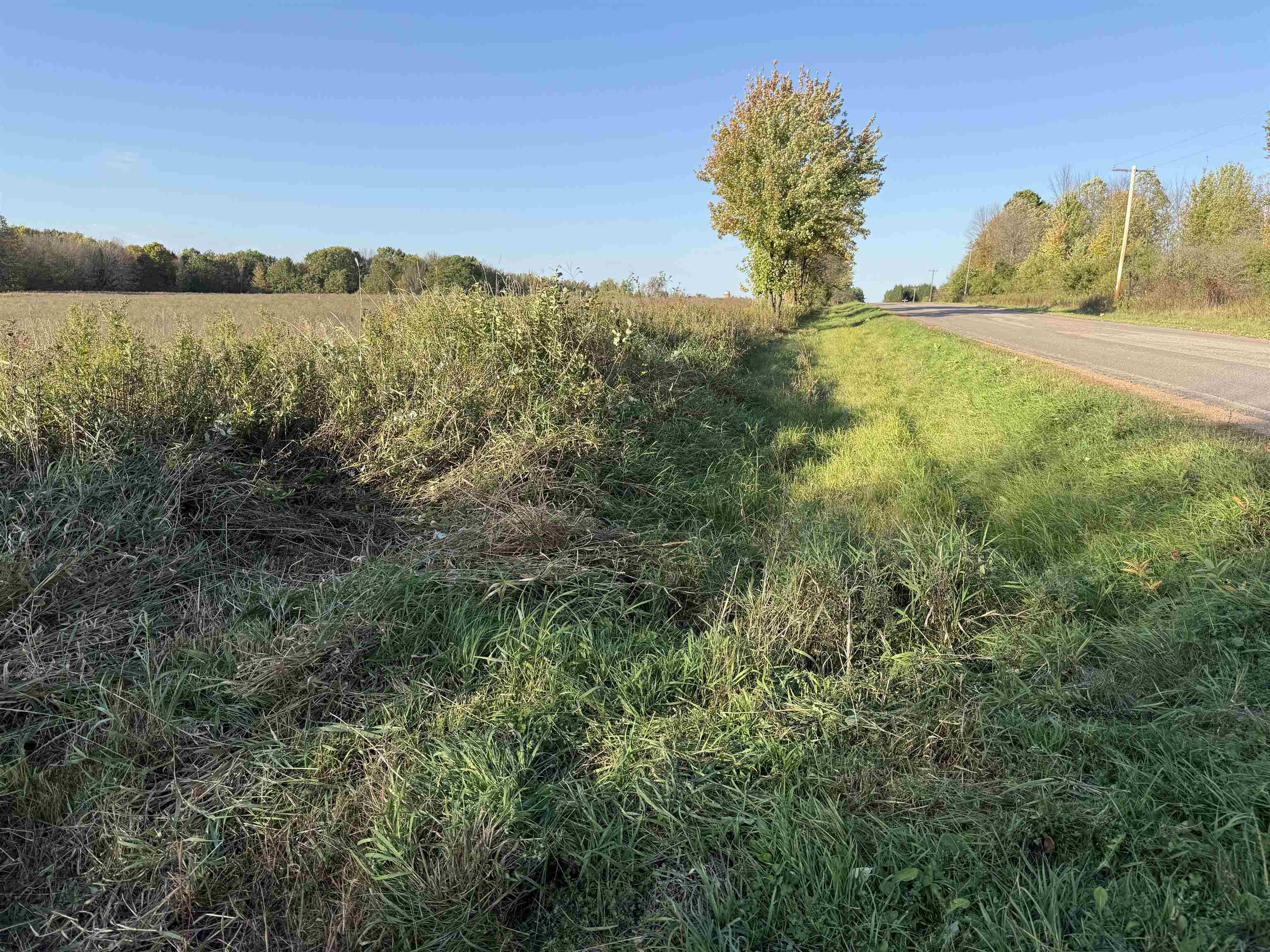 Lot 3 EAU CLAIRE RIVER ROAD, Aniwa, Wisconsin 54408, ,Land,For Sale,Lot 3 EAU CLAIRE RIVER ROAD,22504773