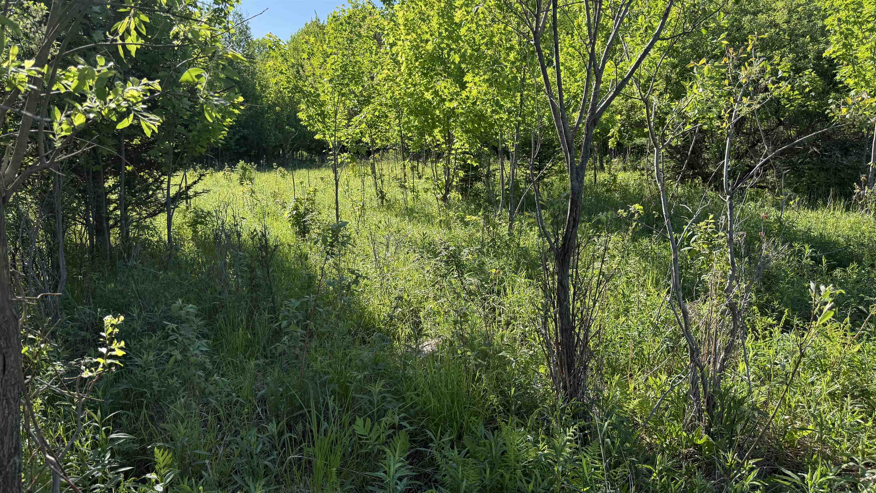 Lot 3 EAU CLAIRE RIVER ROAD, Aniwa, Wisconsin 54408, ,Land,For Sale,Lot 3 EAU CLAIRE RIVER ROAD,22504773