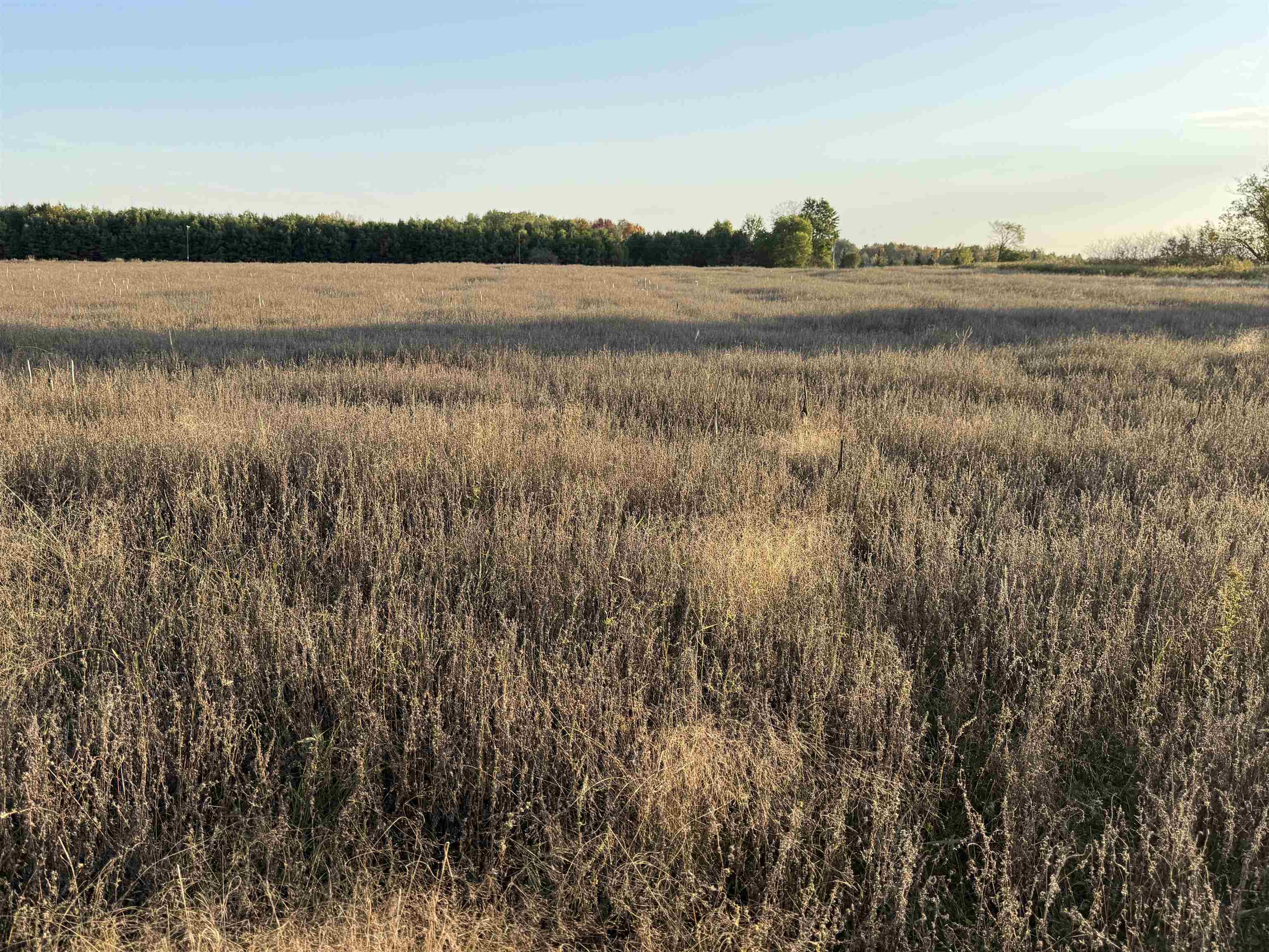 Lot 3 EAU CLAIRE RIVER ROAD, Aniwa, Wisconsin 54408, ,Land,For Sale,Lot 3 EAU CLAIRE RIVER ROAD,22504773