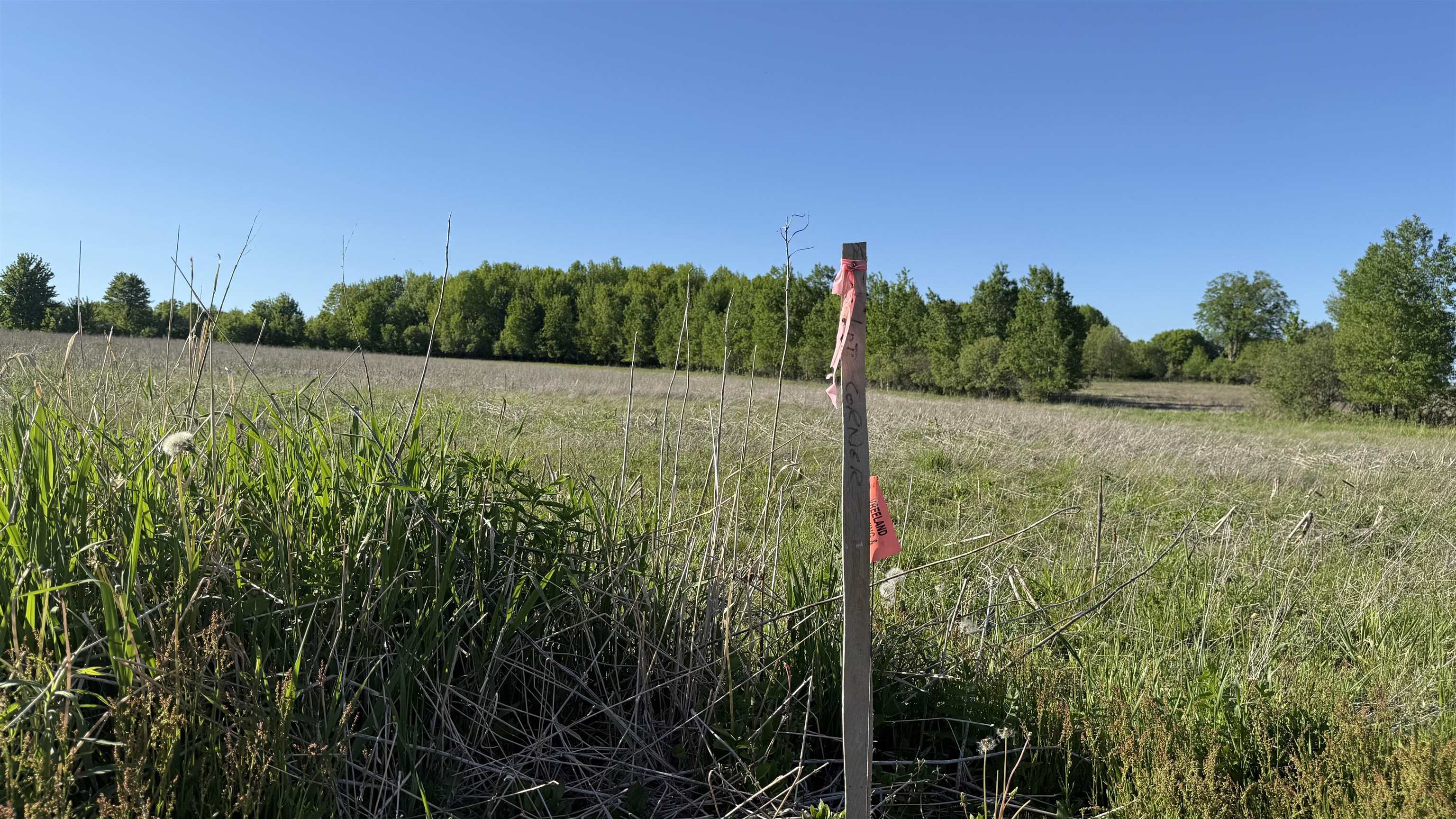 Lot 3 EAU CLAIRE RIVER ROAD, Aniwa, Wisconsin 54408, ,Land,For Sale,Lot 3 EAU CLAIRE RIVER ROAD,22504773