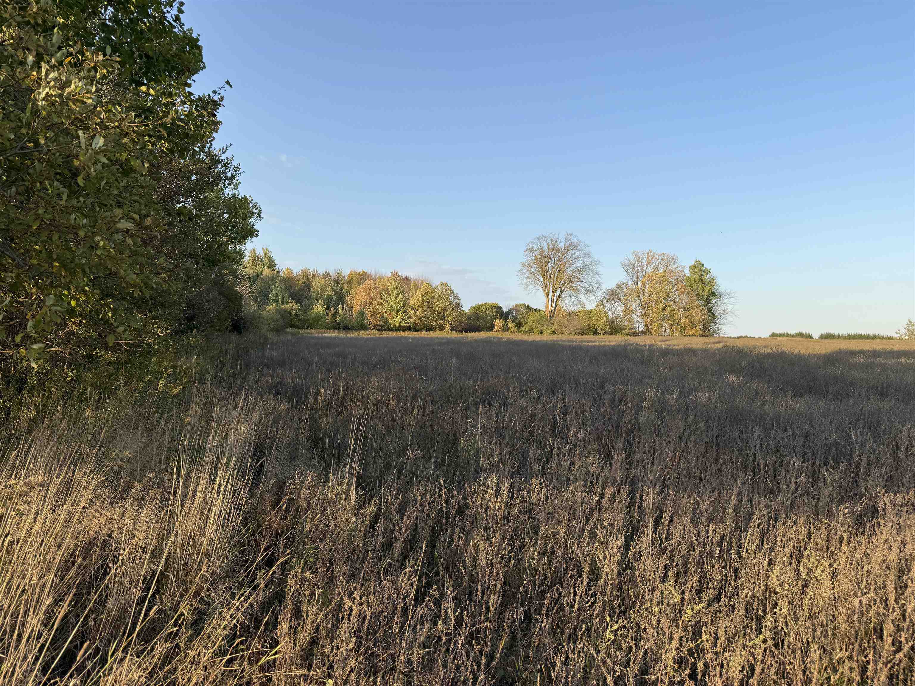Lot 3 EAU CLAIRE RIVER ROAD, Aniwa, Wisconsin 54408, ,Land,For Sale,Lot 3 EAU CLAIRE RIVER ROAD,22504773