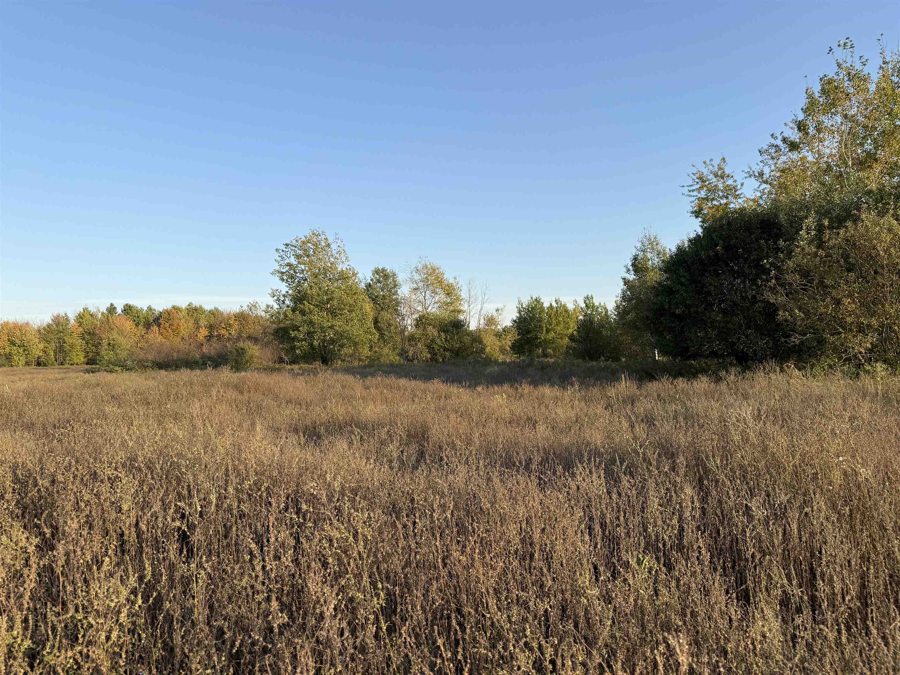 Lot 3 EAU CLAIRE RIVER ROAD, Aniwa, Wisconsin 54408, ,Land,For Sale,Lot 3 EAU CLAIRE RIVER ROAD,22504773