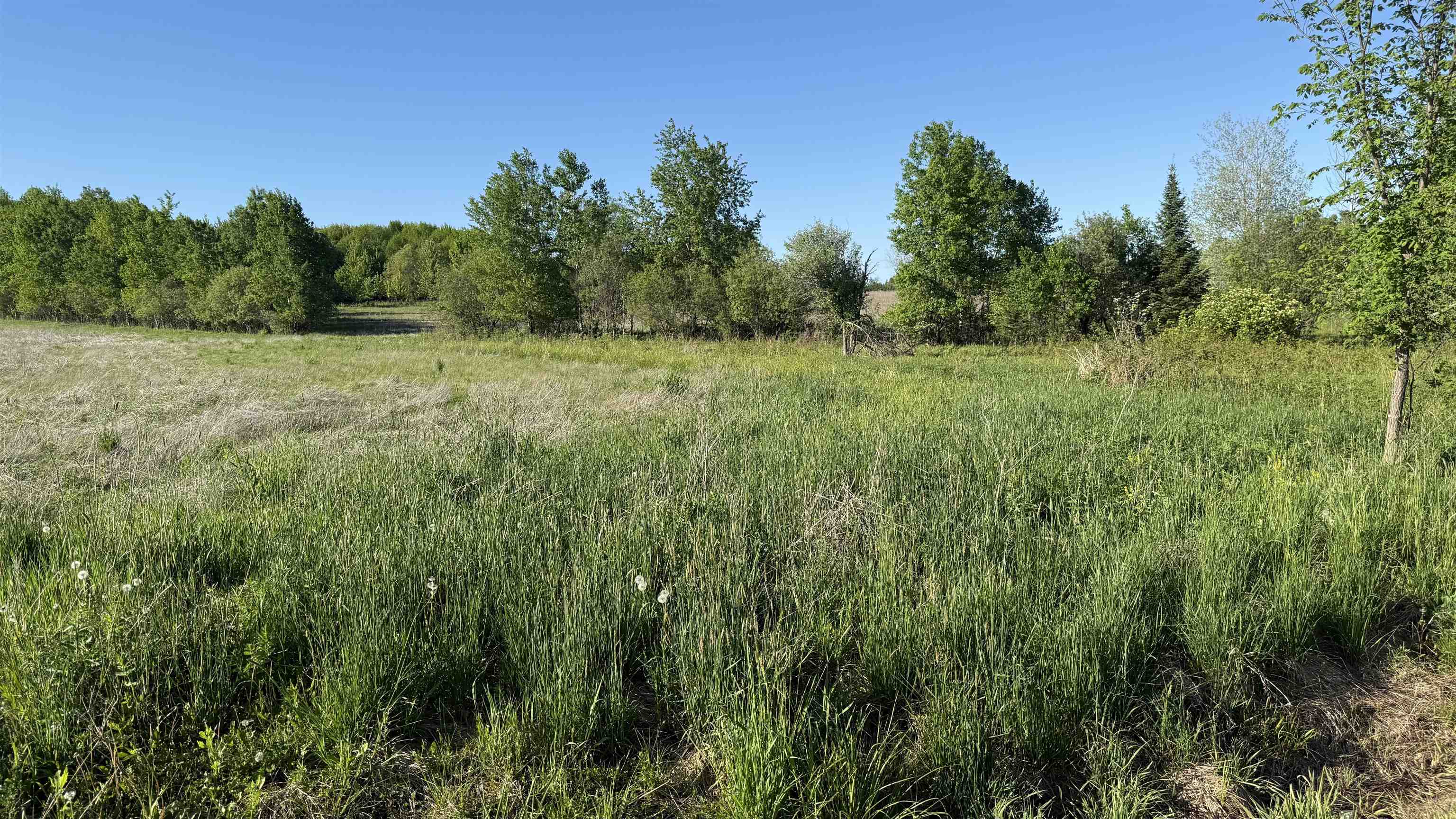 Lot 3 EAU CLAIRE RIVER ROAD, Aniwa, Wisconsin 54408, ,Land,For Sale,Lot 3 EAU CLAIRE RIVER ROAD,22504773
