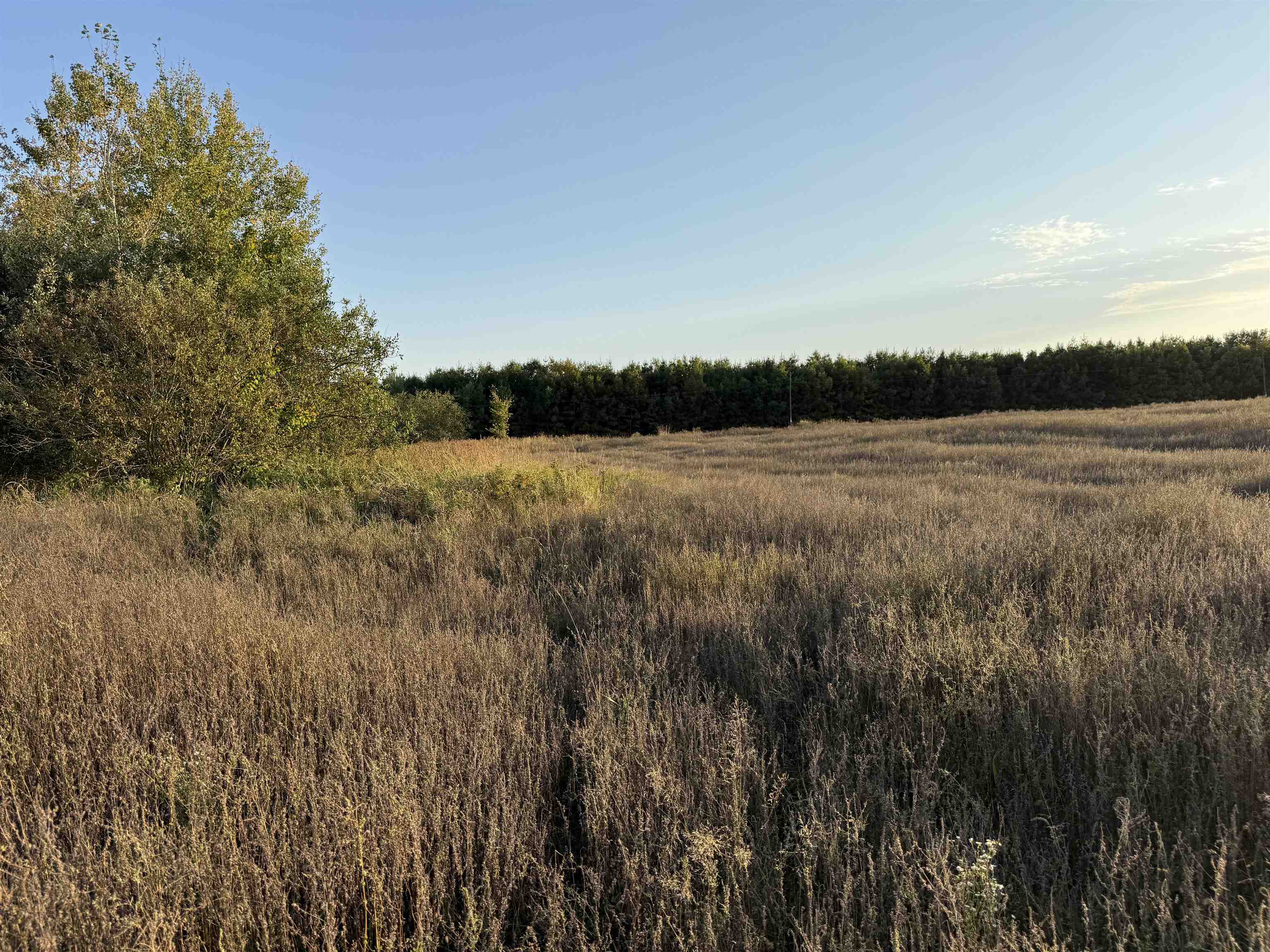 Lot 3 EAU CLAIRE RIVER ROAD, Aniwa, Wisconsin 54408, ,Land,For Sale,Lot 3 EAU CLAIRE RIVER ROAD,22504773