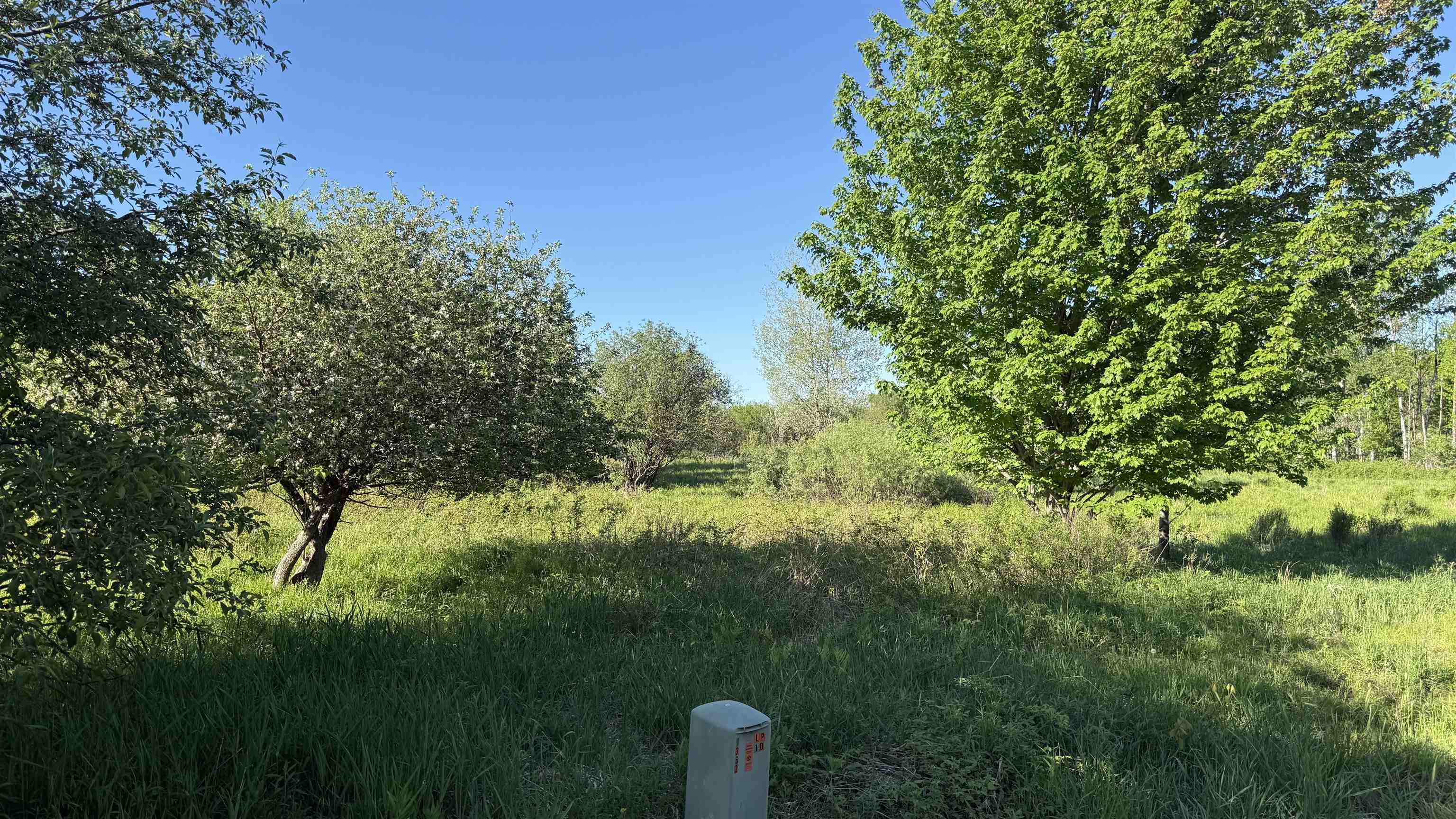 Lot 3 EAU CLAIRE RIVER ROAD, Aniwa, Wisconsin 54408, ,Land,For Sale,Lot 3 EAU CLAIRE RIVER ROAD,22504773
