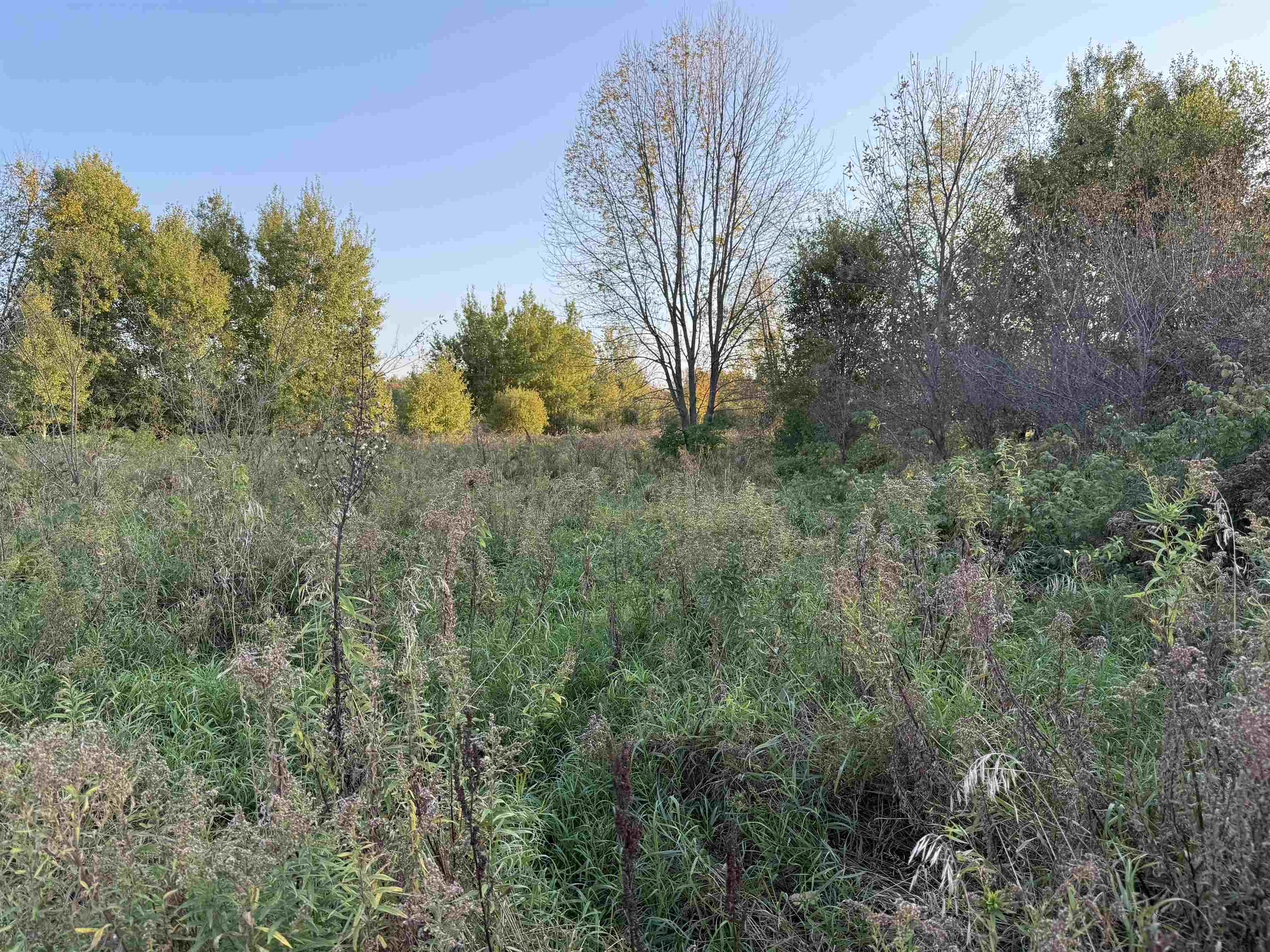 Lot 3 EAU CLAIRE RIVER ROAD, Aniwa, Wisconsin 54408, ,Land,For Sale,Lot 3 EAU CLAIRE RIVER ROAD,22504773