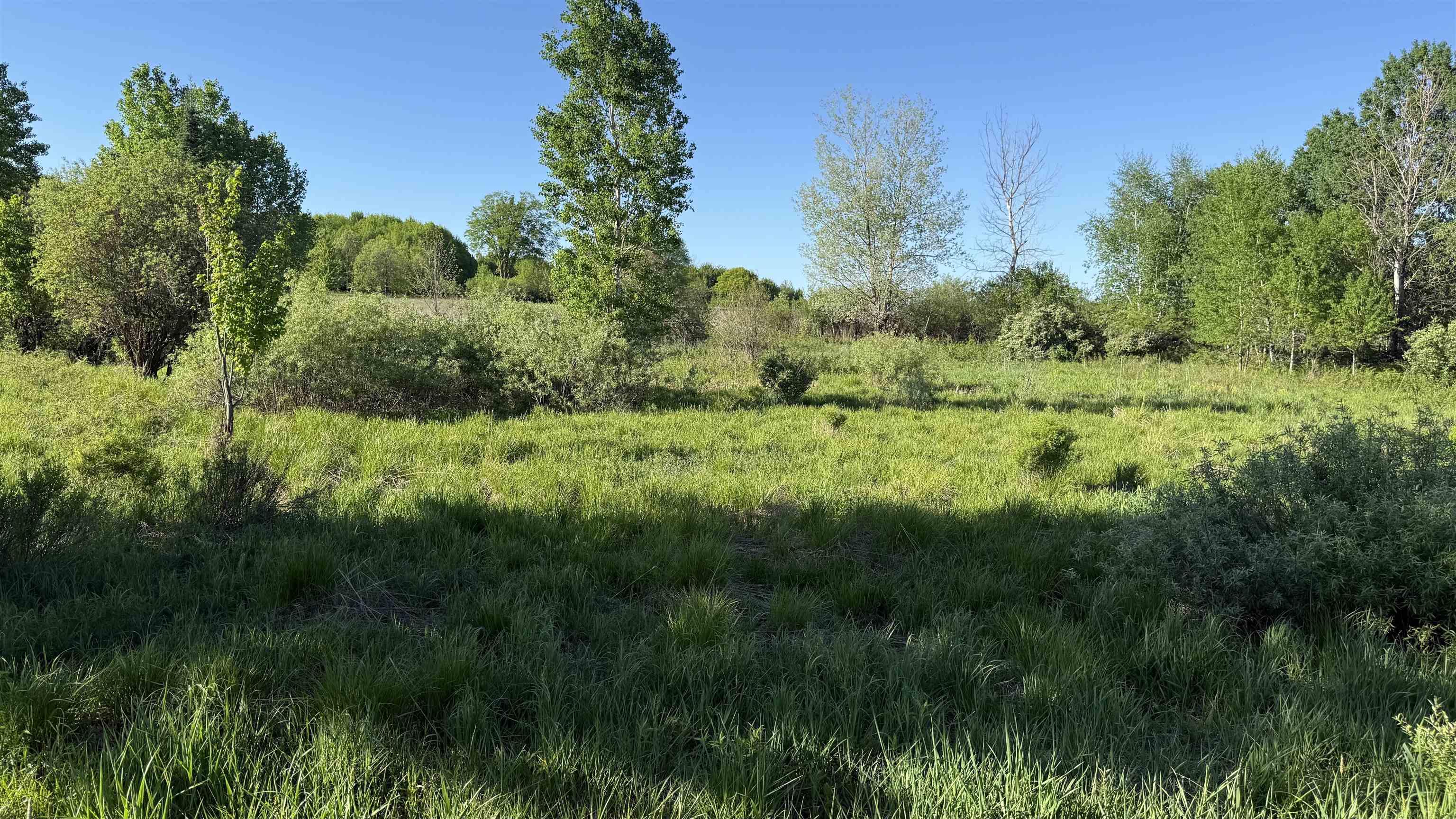 Lot 3 EAU CLAIRE RIVER ROAD, Aniwa, Wisconsin 54408, ,Land,For Sale,Lot 3 EAU CLAIRE RIVER ROAD,22504773
