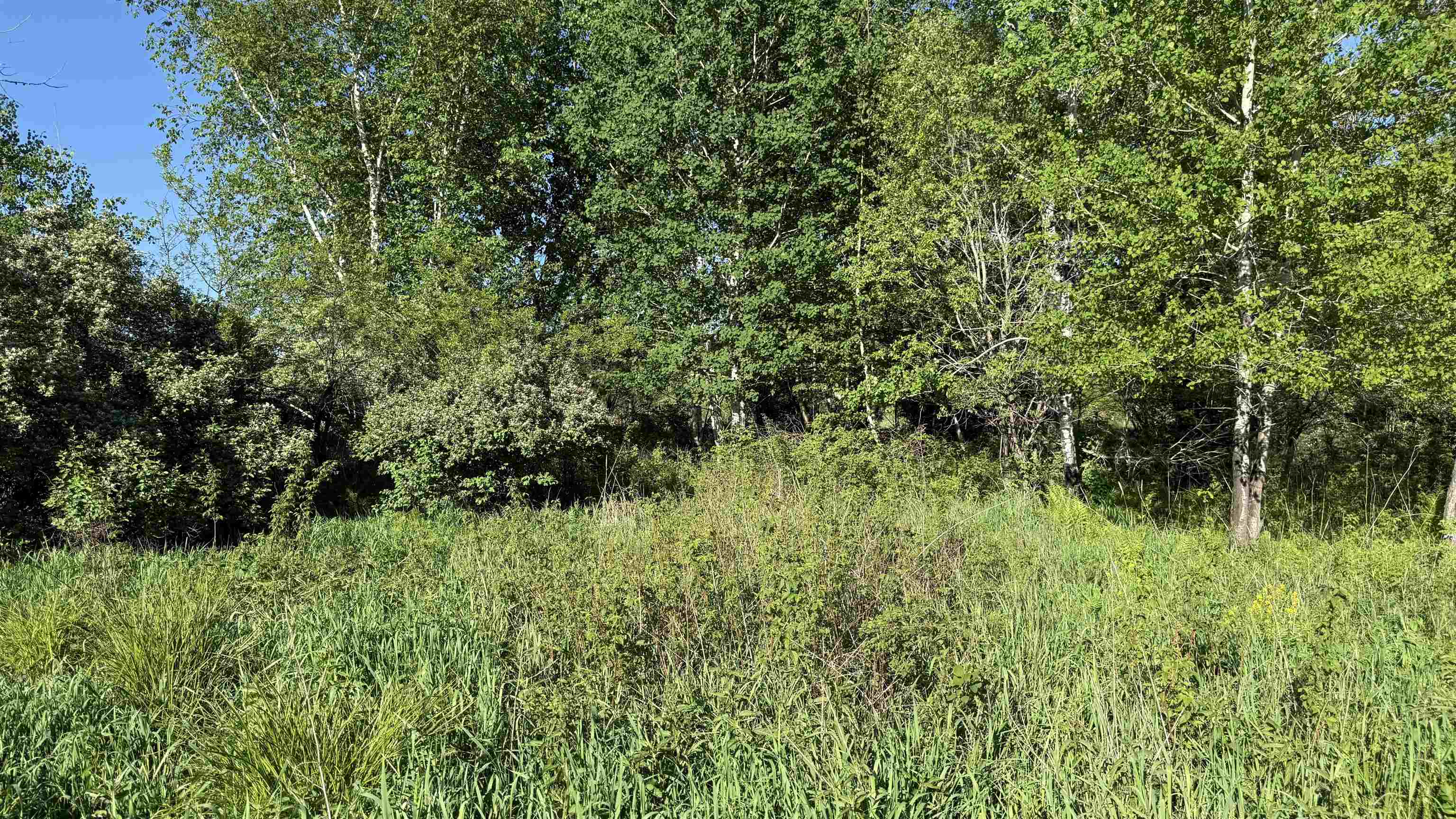 Lot 3 EAU CLAIRE RIVER ROAD, Aniwa, Wisconsin 54408, ,Land,For Sale,Lot 3 EAU CLAIRE RIVER ROAD,22504773