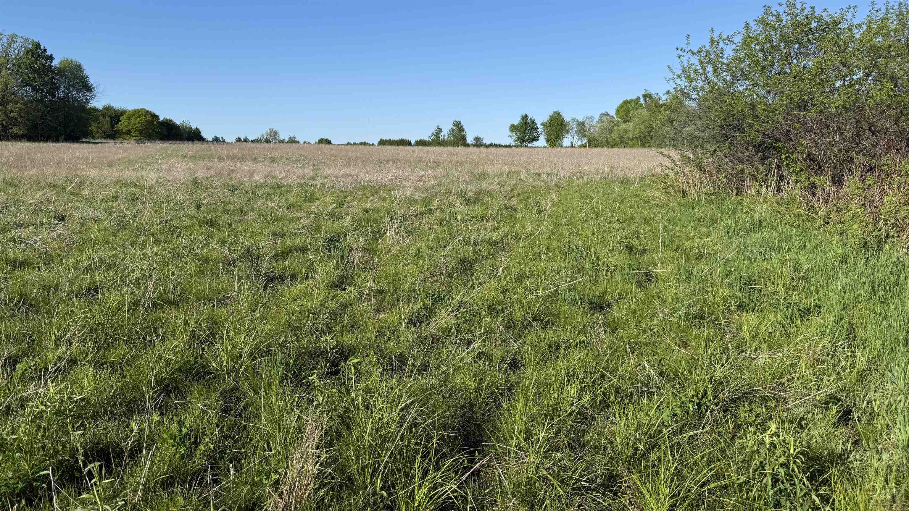 Lot 3 EAU CLAIRE RIVER ROAD, Aniwa, Wisconsin 54408, ,Land,For Sale,Lot 3 EAU CLAIRE RIVER ROAD,22504773