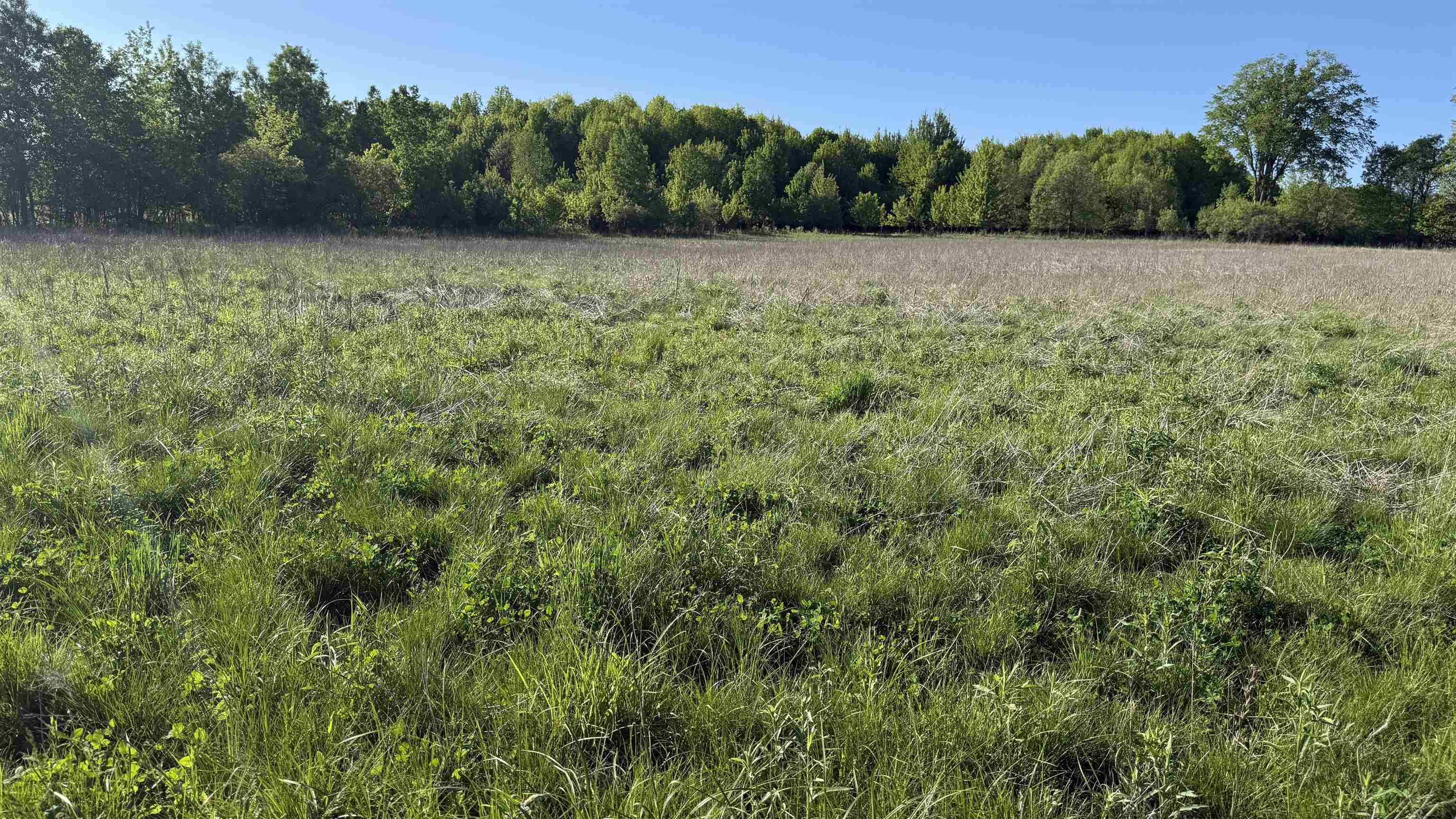 Lot 3 EAU CLAIRE RIVER ROAD, Aniwa, Wisconsin 54408, ,Land,For Sale,Lot 3 EAU CLAIRE RIVER ROAD,22504773