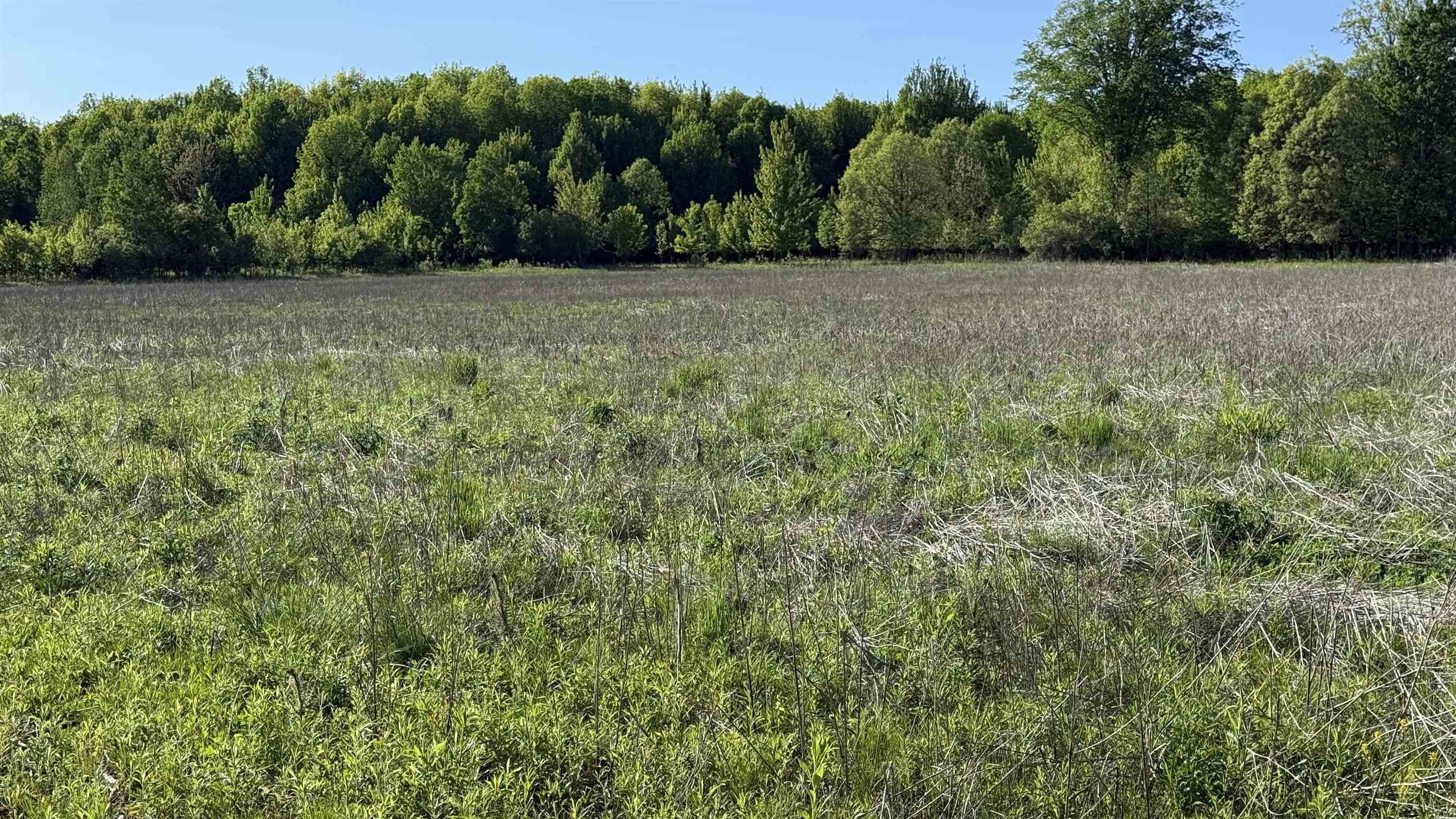 Lot 3 EAU CLAIRE RIVER ROAD, Aniwa, Wisconsin 54408, ,Land,For Sale,Lot 3 EAU CLAIRE RIVER ROAD,22504773