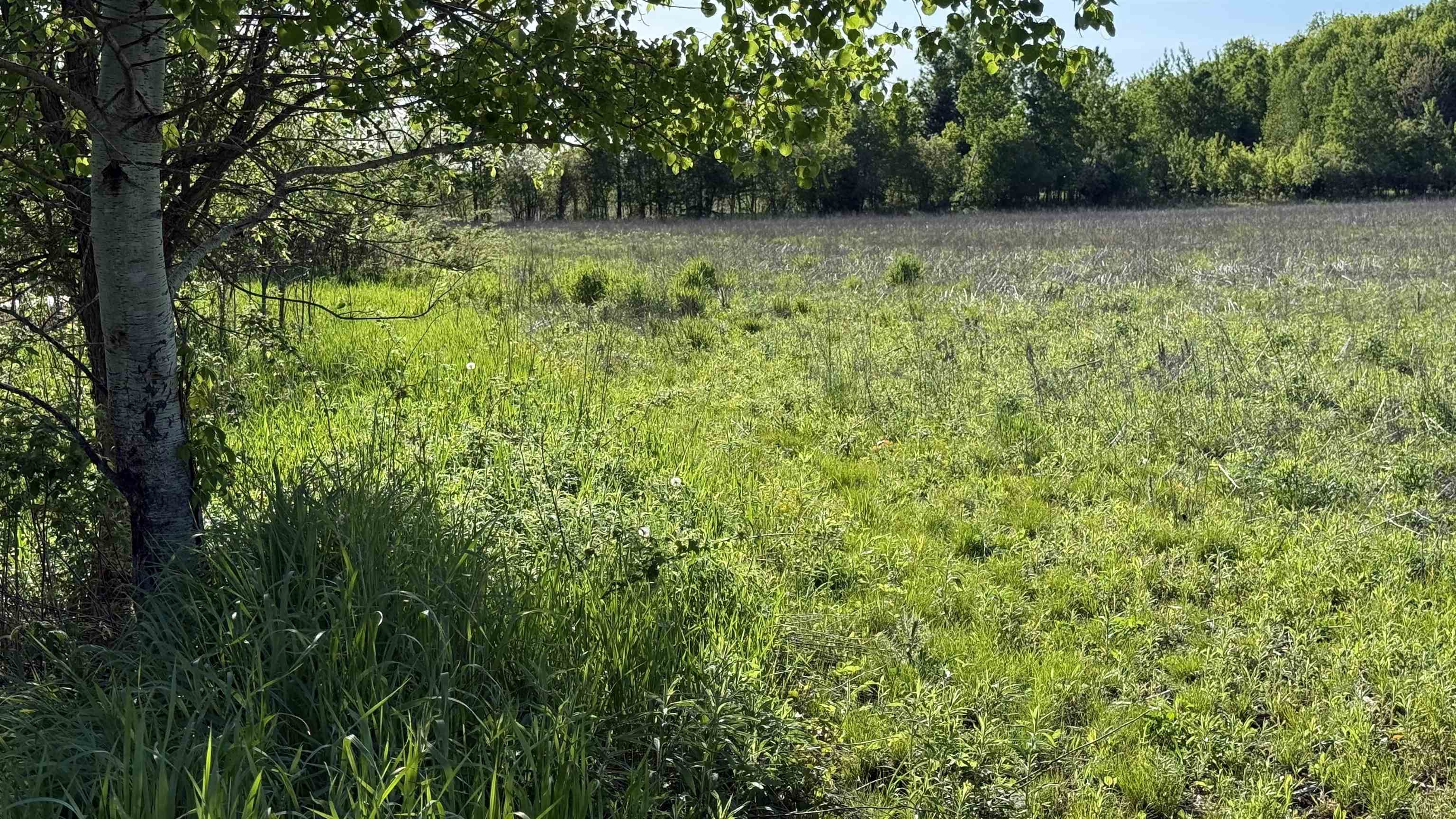 Lot 3 EAU CLAIRE RIVER ROAD, Aniwa, Wisconsin 54408, ,Land,For Sale,Lot 3 EAU CLAIRE RIVER ROAD,22504773