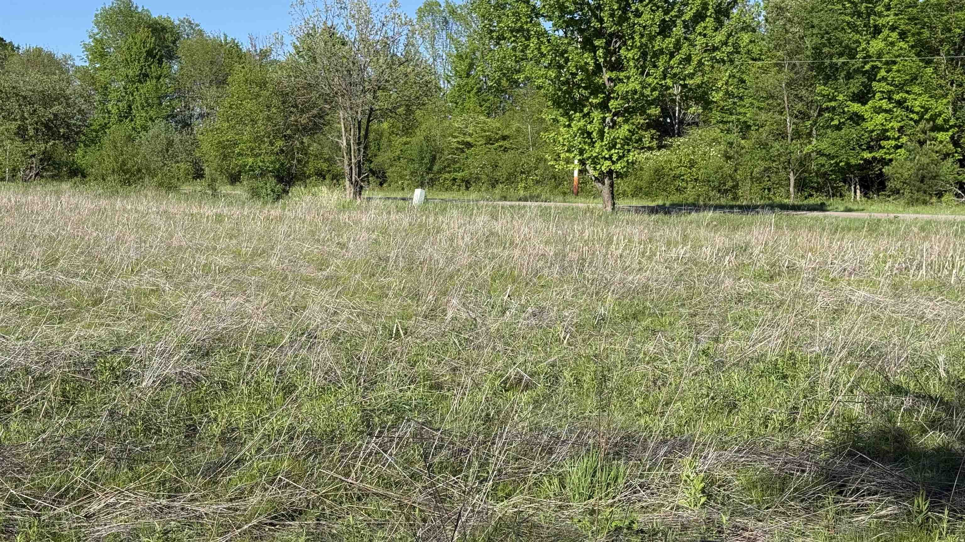 Lot 3 EAU CLAIRE RIVER ROAD, Aniwa, Wisconsin 54408, ,Land,For Sale,Lot 3 EAU CLAIRE RIVER ROAD,22504773