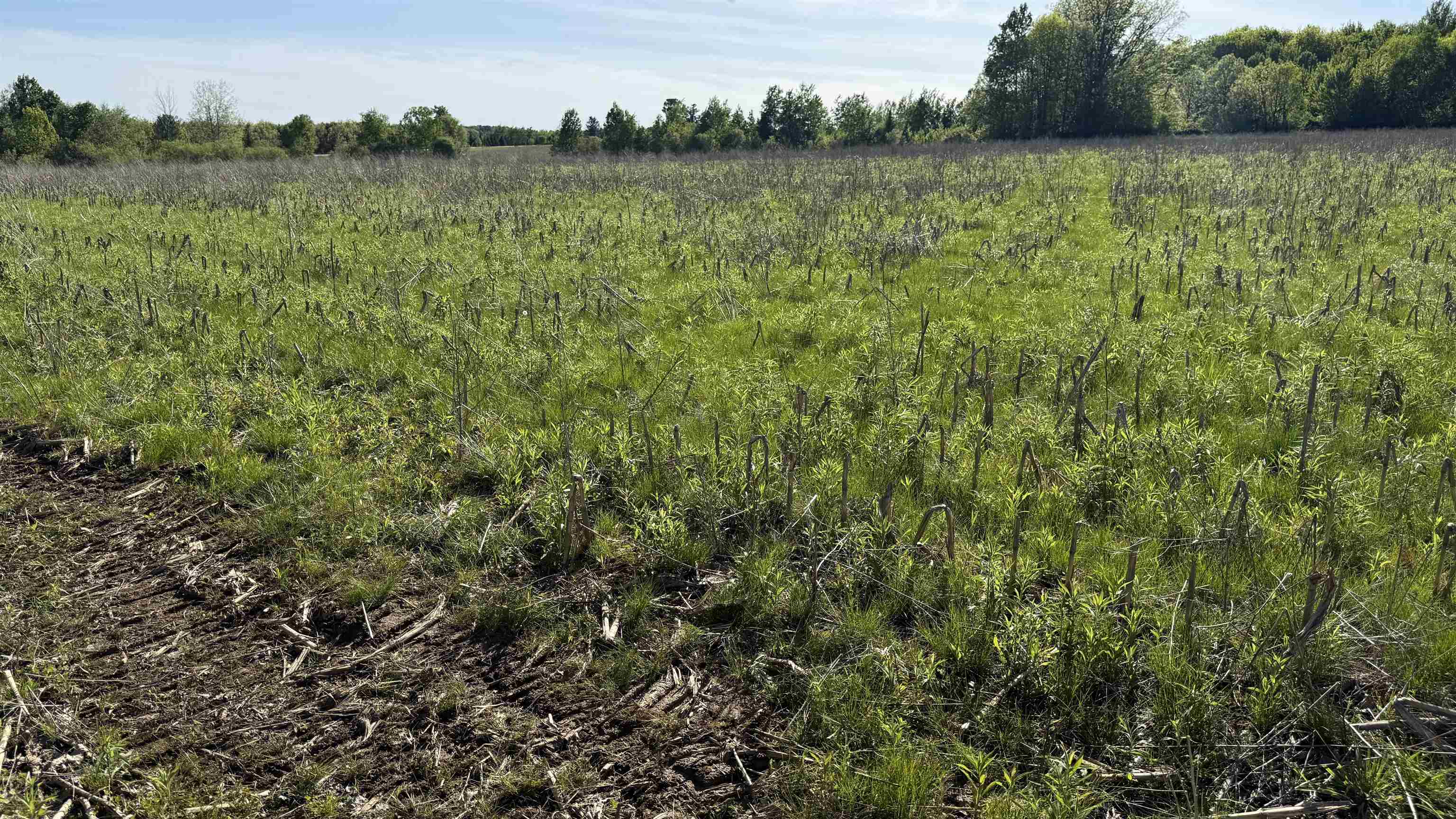 Lot 3 EAU CLAIRE RIVER ROAD, Aniwa, Wisconsin 54408, ,Land,For Sale,Lot 3 EAU CLAIRE RIVER ROAD,22504773