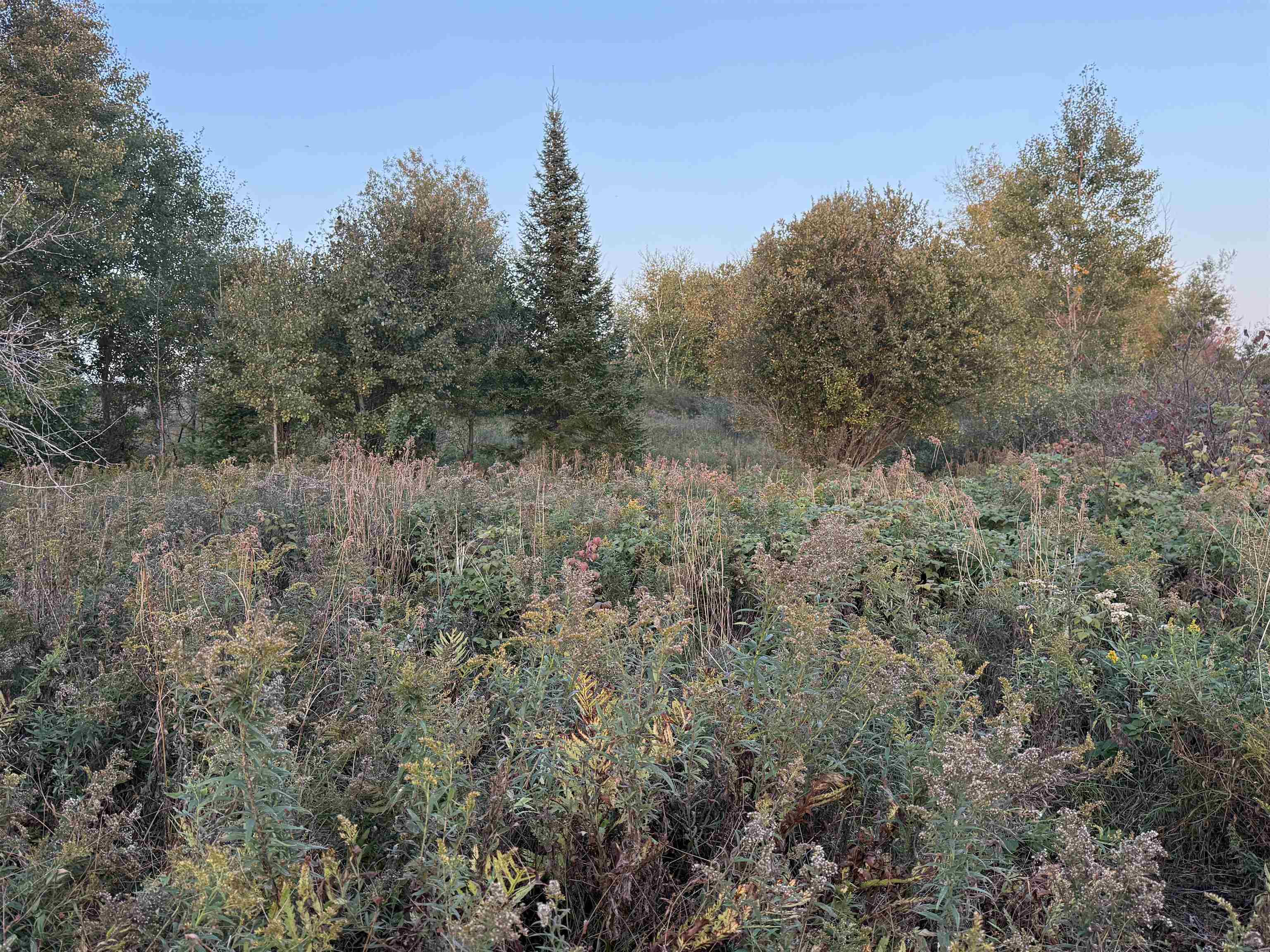 Lot 3 EAU CLAIRE RIVER ROAD, Aniwa, Wisconsin 54408, ,Land,For Sale,Lot 3 EAU CLAIRE RIVER ROAD,22504773