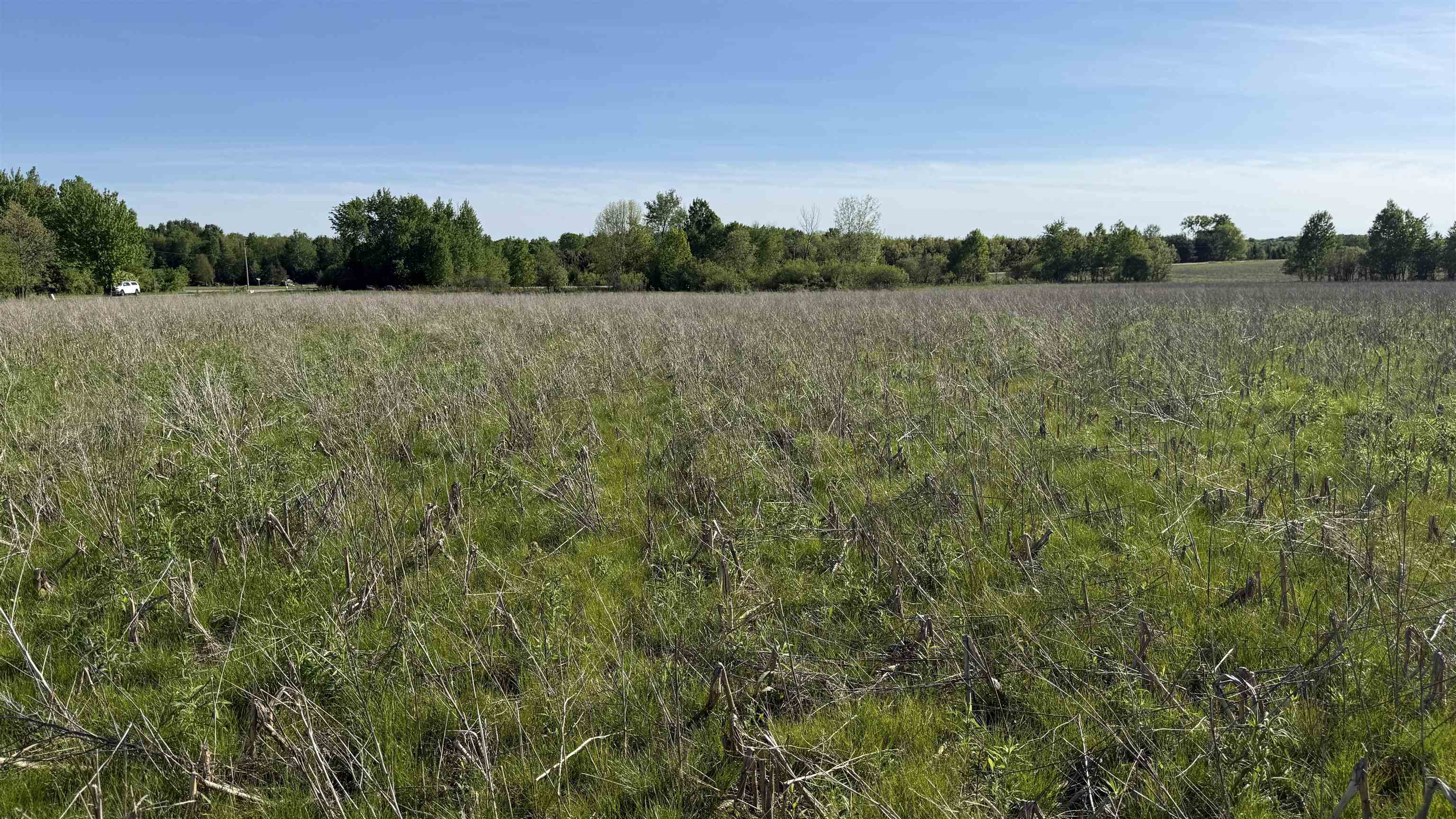 Lot 3 EAU CLAIRE RIVER ROAD, Aniwa, Wisconsin 54408, ,Land,For Sale,Lot 3 EAU CLAIRE RIVER ROAD,22504773